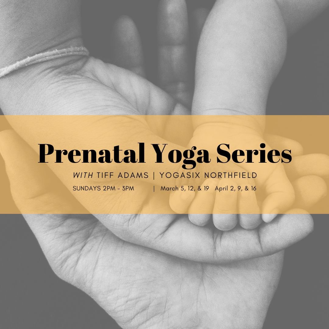 Prenatal Yoga Series w/ Tiff