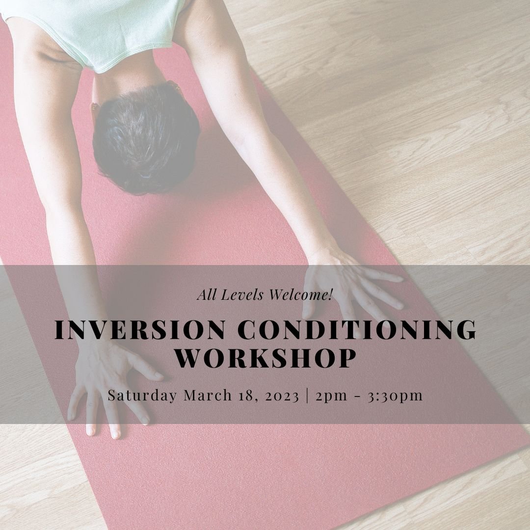 Inversion Conditioning Workshop with Tiff