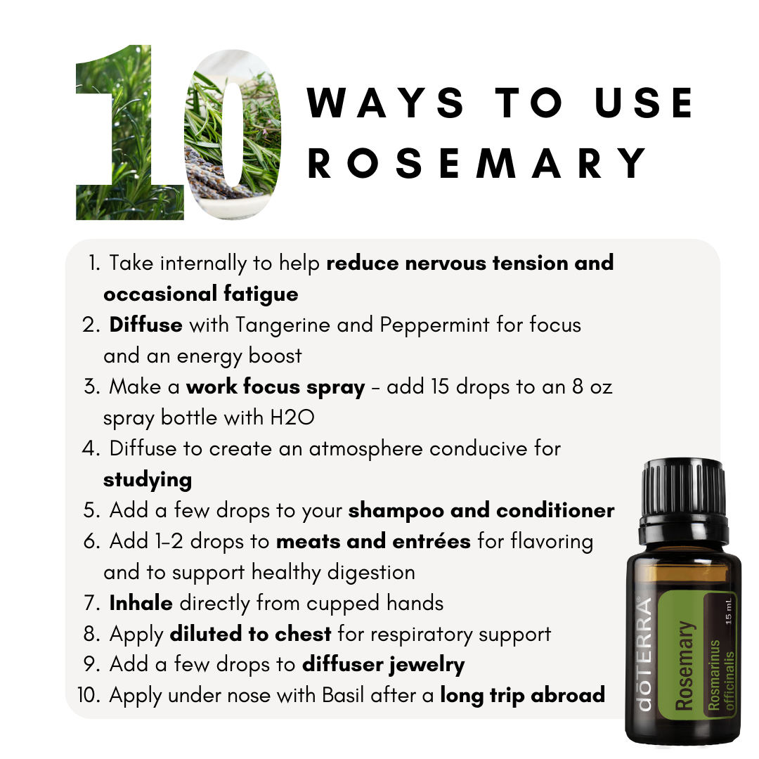 Rosemary 10-100413.png