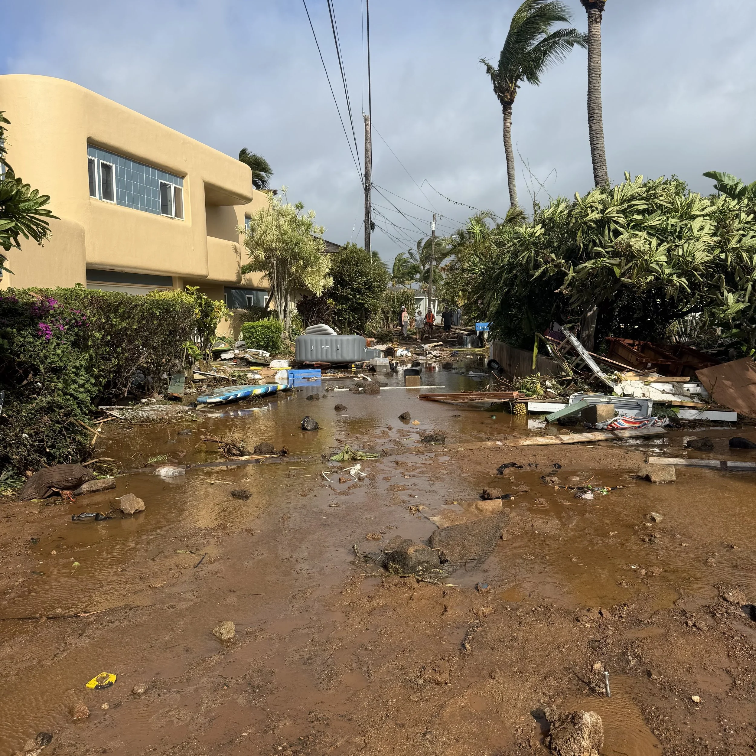 6 days post hurricane Lowell… 