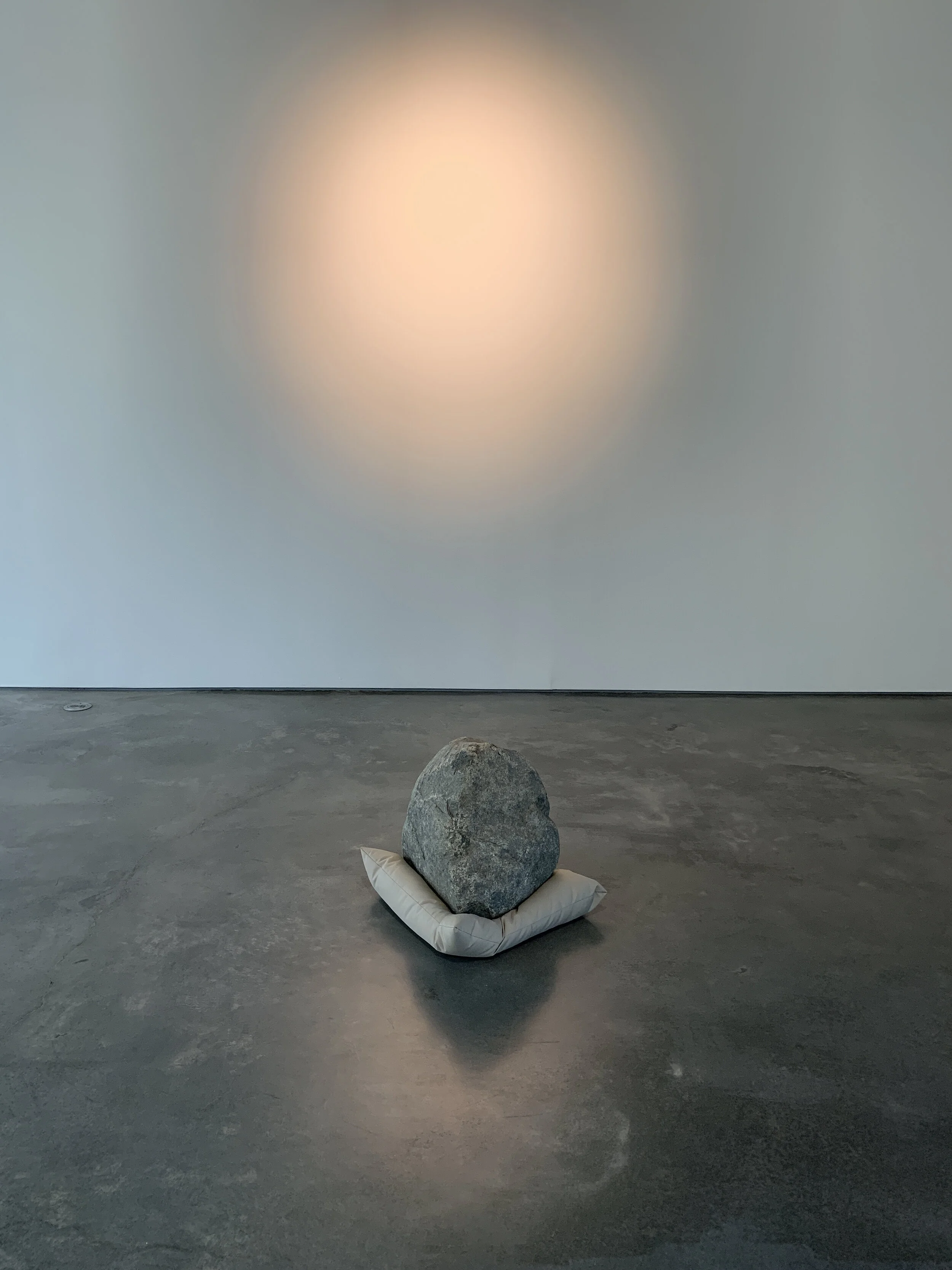 Procedures — Dr. David Kim, MD MS