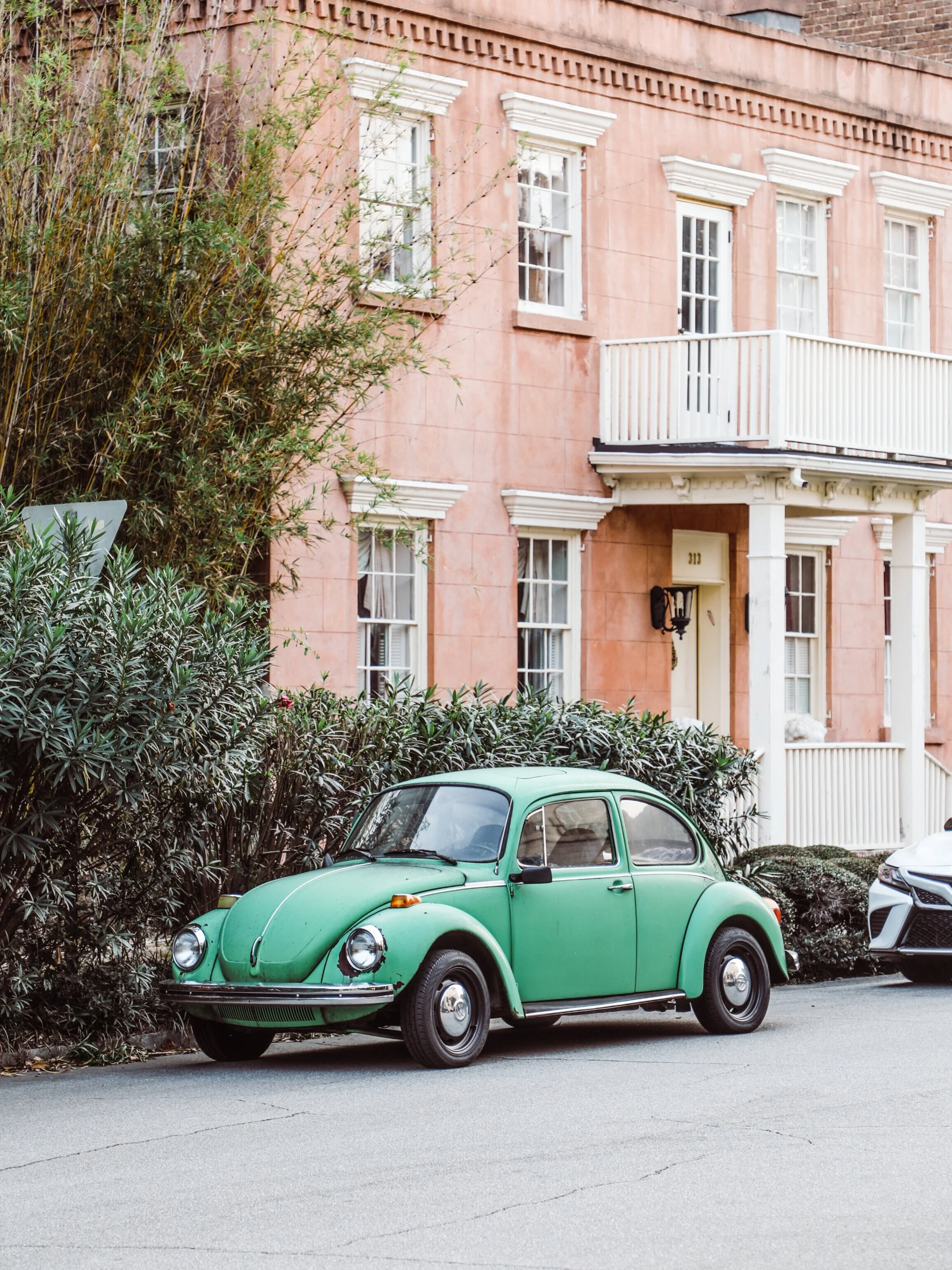 Falling in Love with Savannah