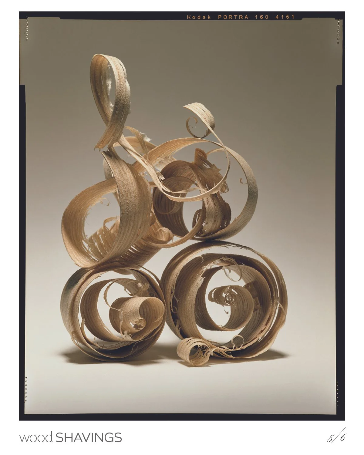WOOD6.jpg