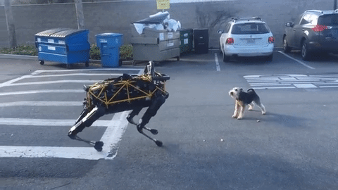 boston-dynamics-robot.gif