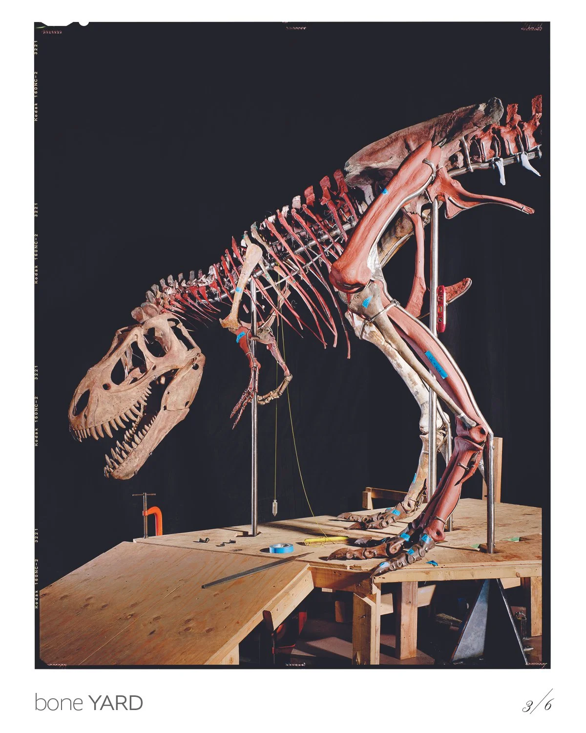 Boneyard4.jpg