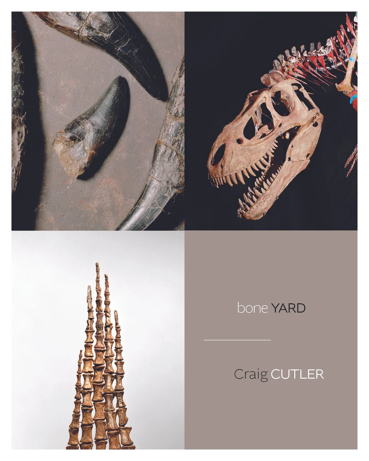 Boneyard.jpg