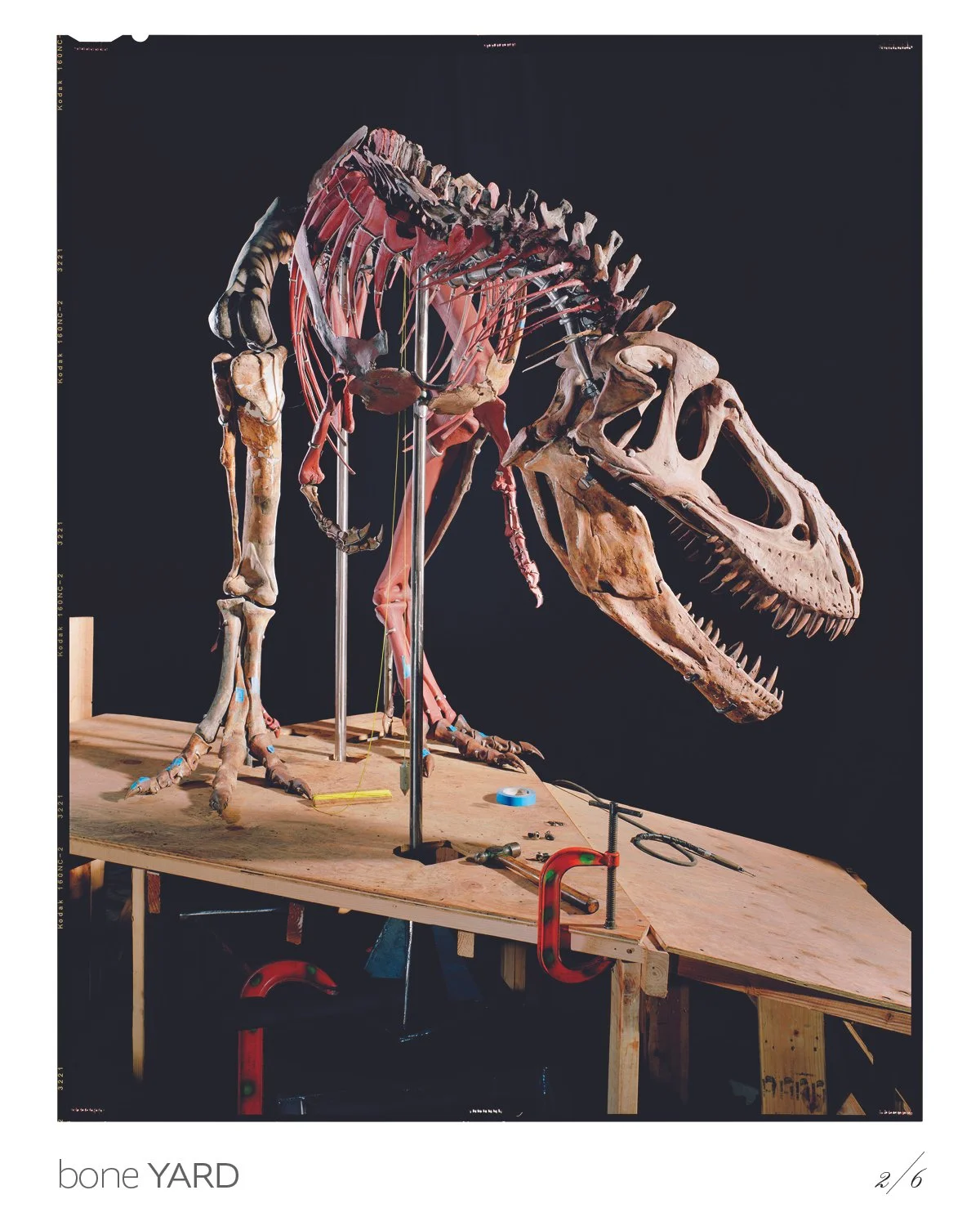 Boneyard3.jpg
