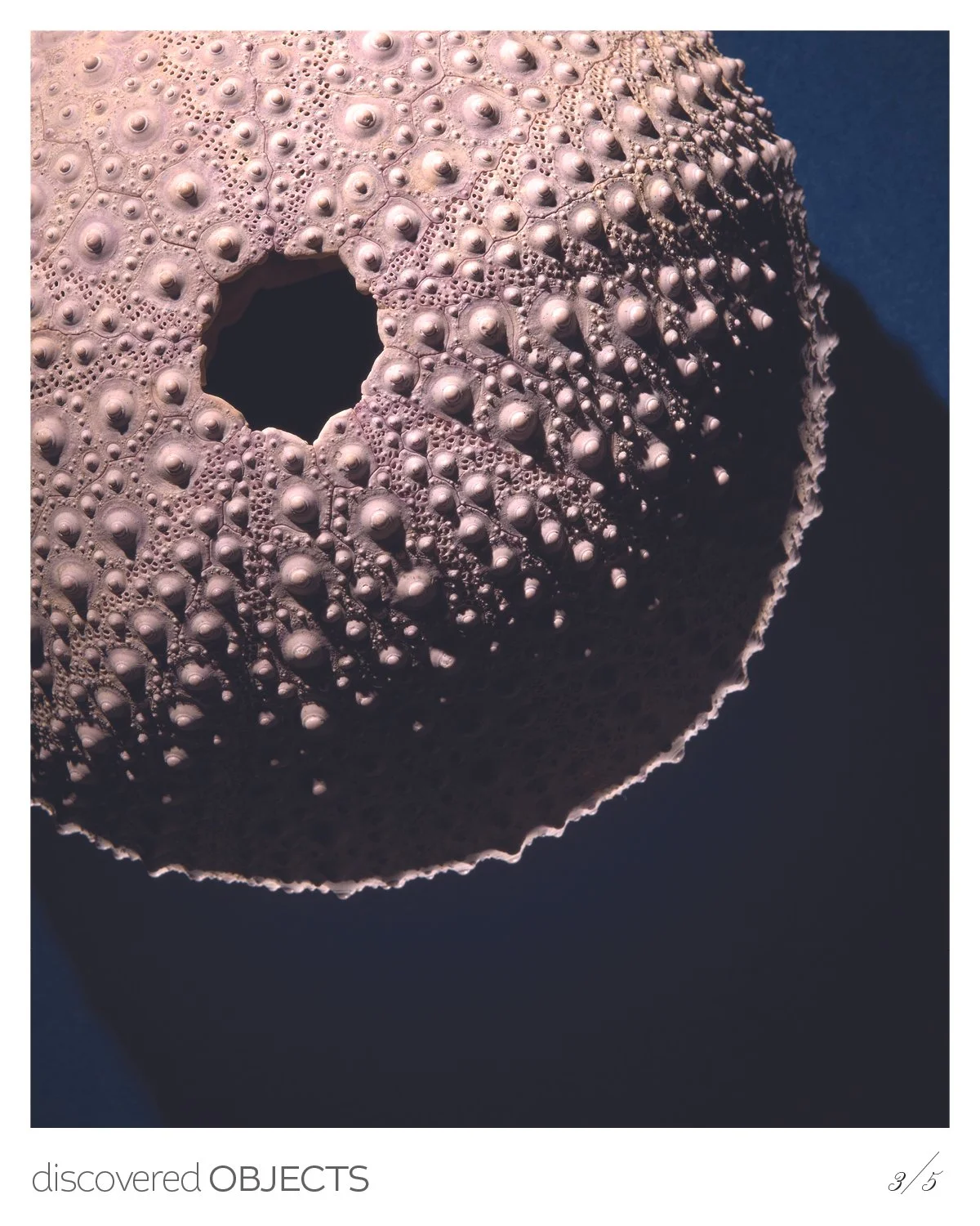 Discovered4.jpg