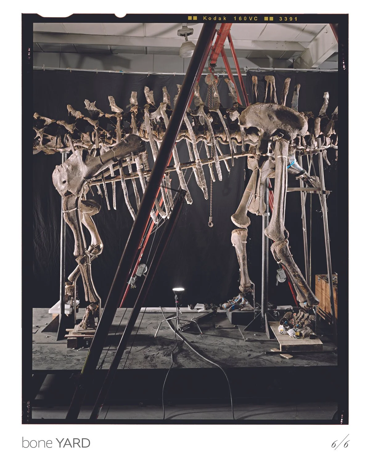 Boneyard7.jpg