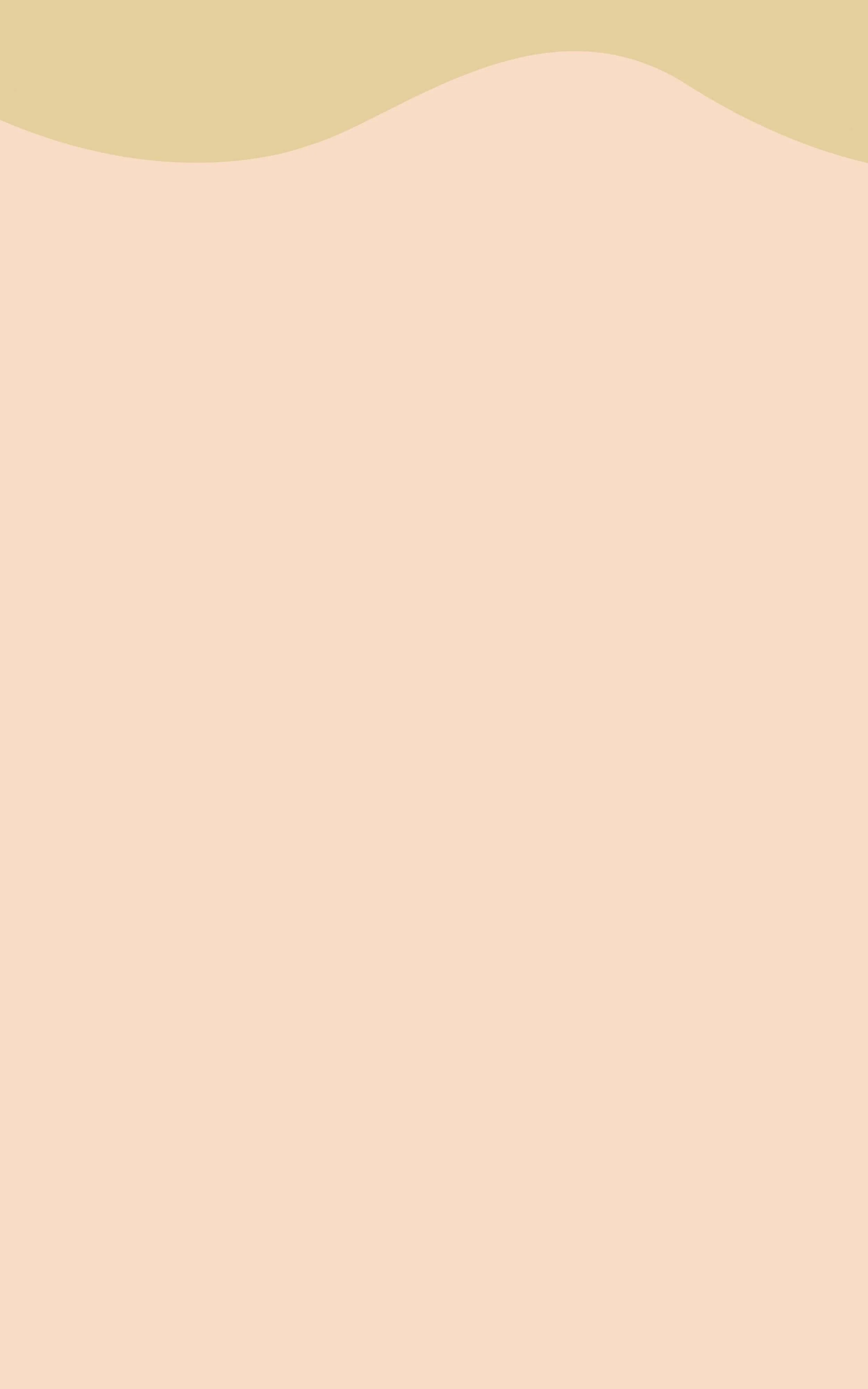 Web Background Banners Ventura (4)-min.jpg