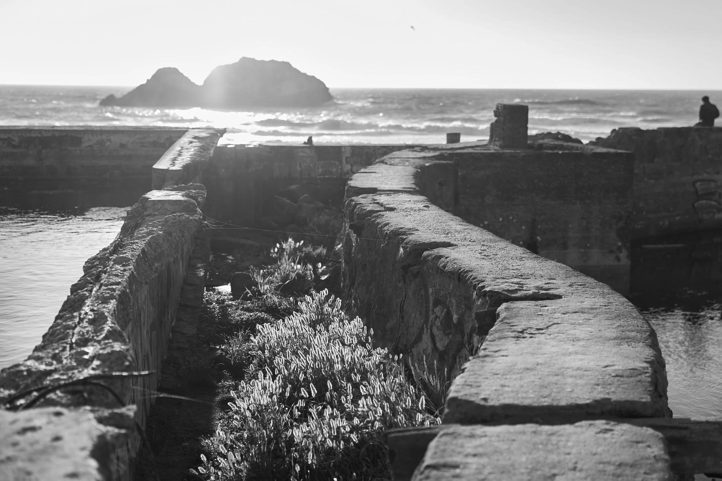 L1000553.jpg