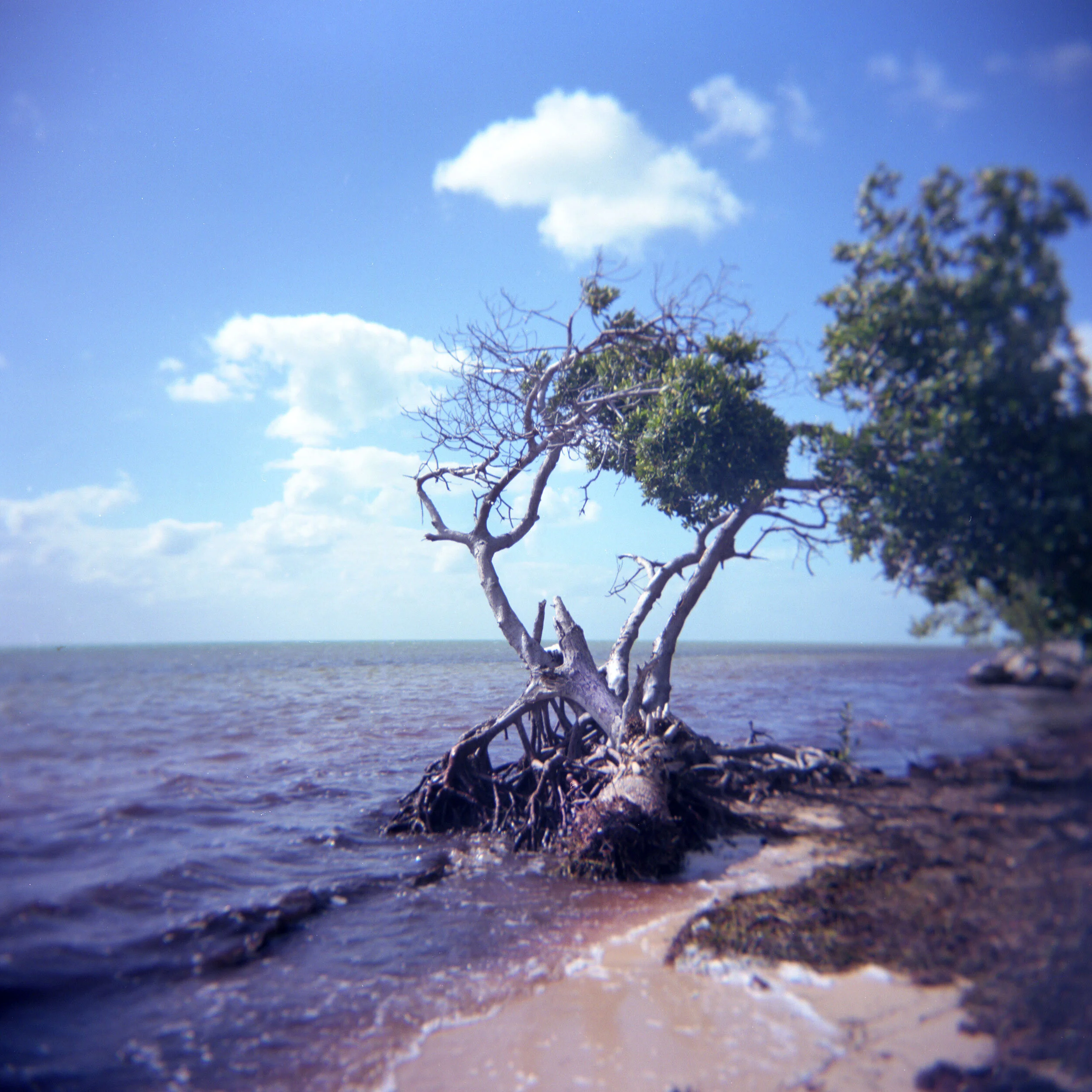 fl_2.jpg