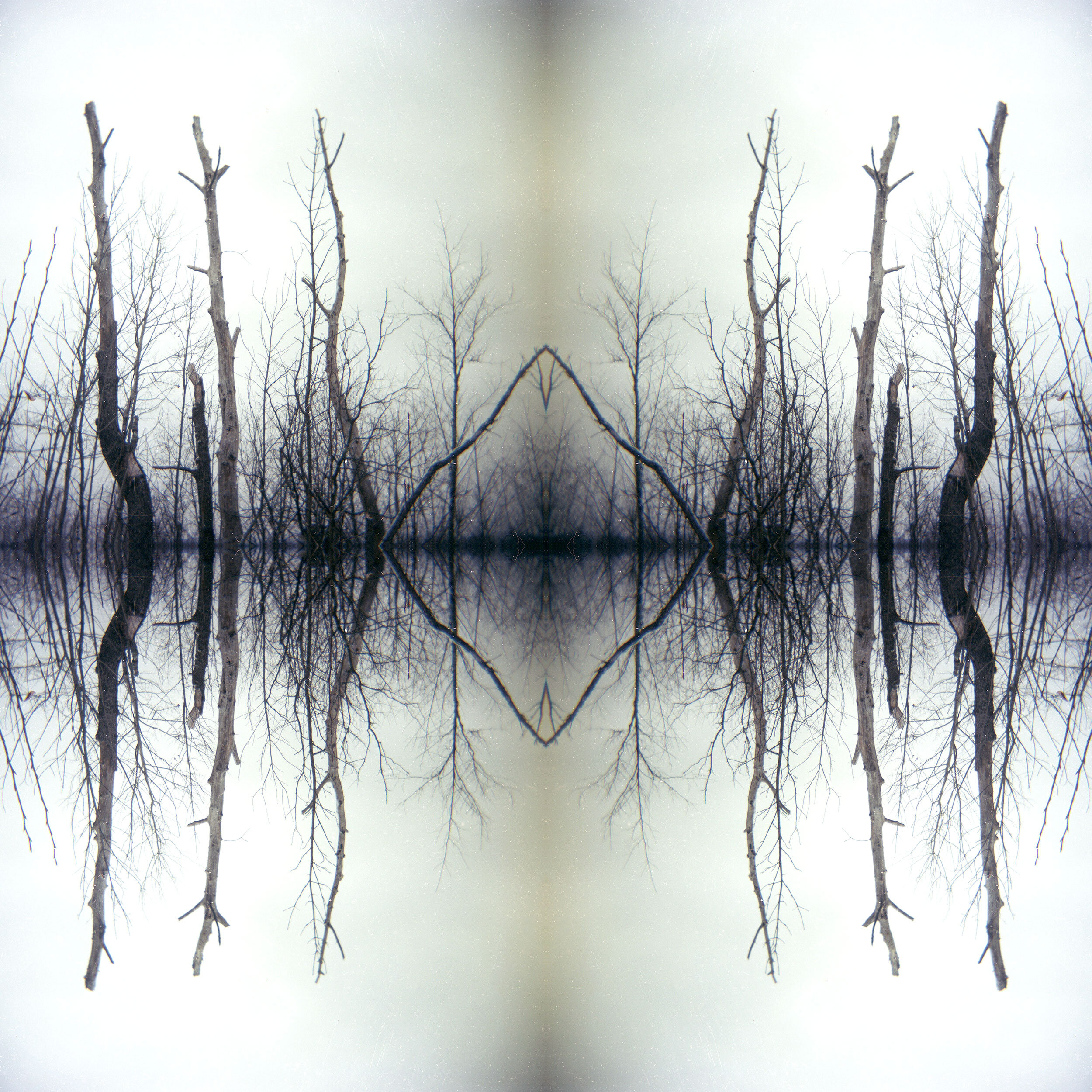 mn_1_squarespace.jpg