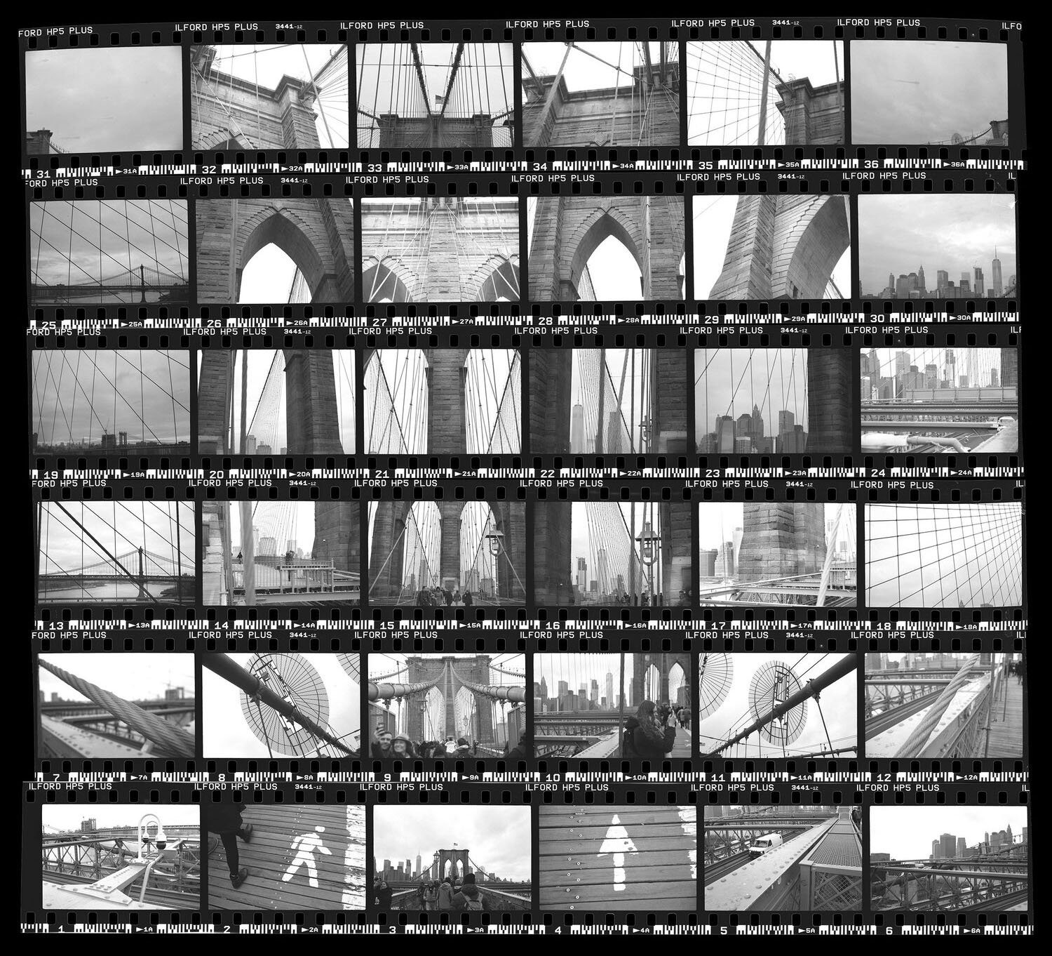 contactsheet_bk.jpeg