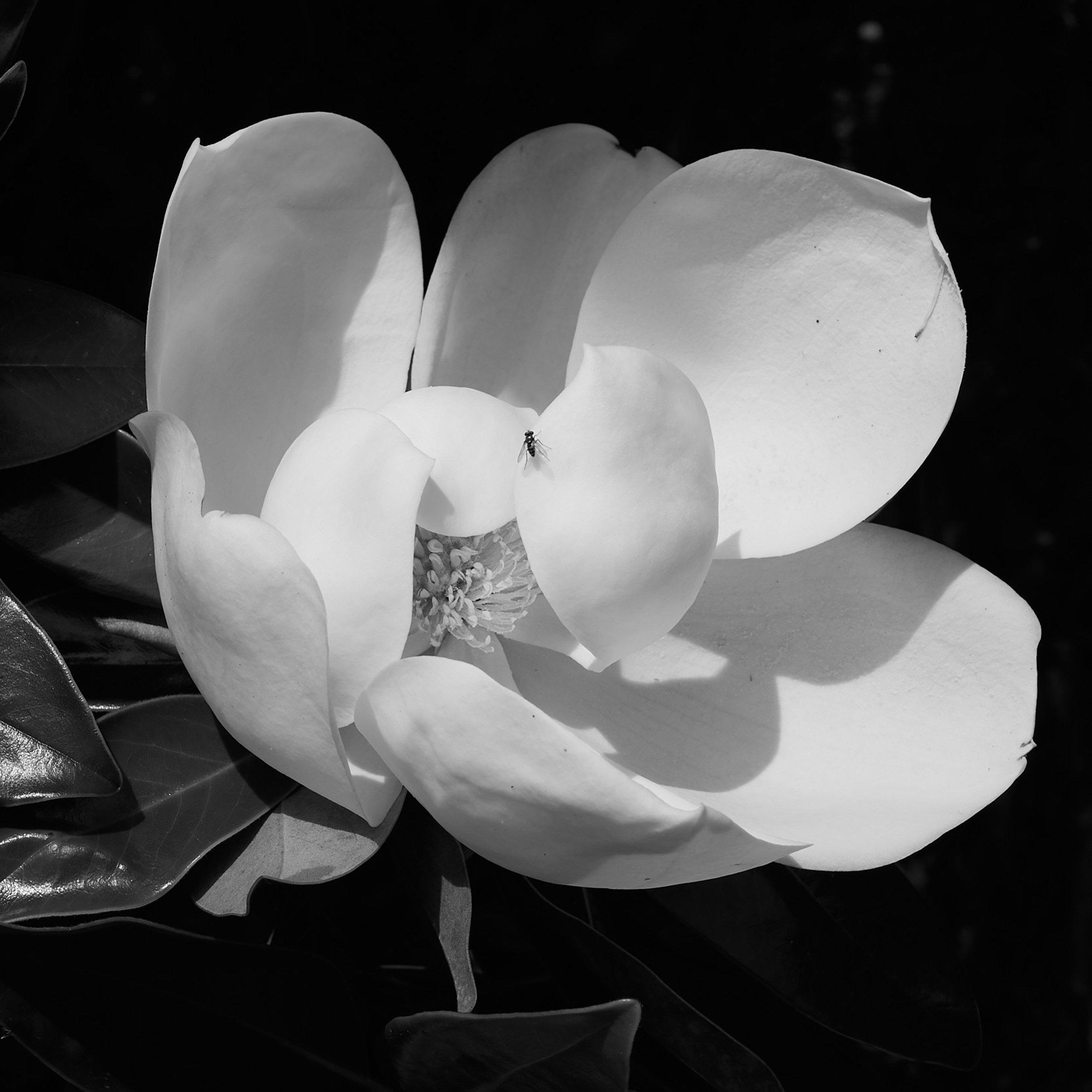 0N4A5650.jpg