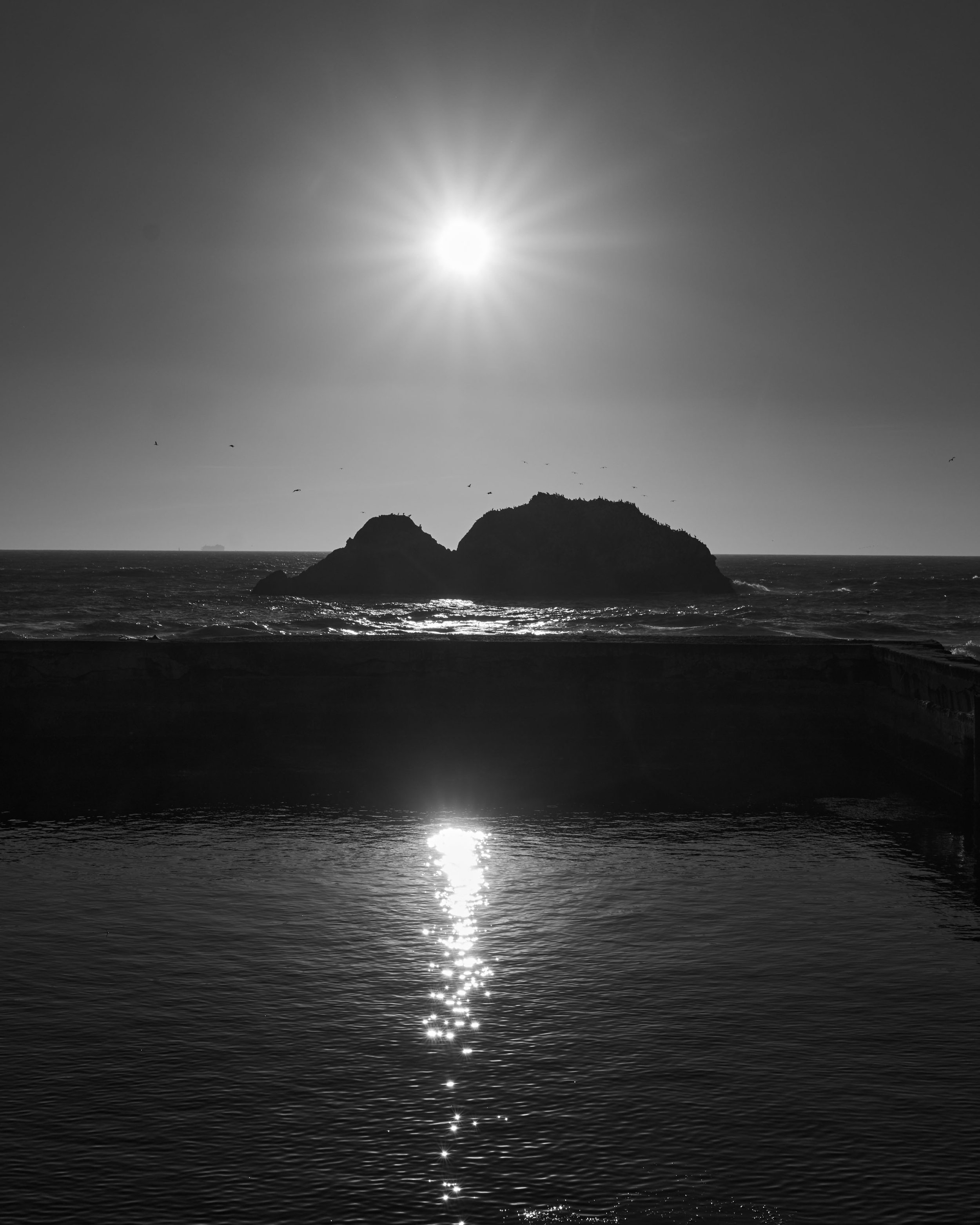 L1000546.jpg