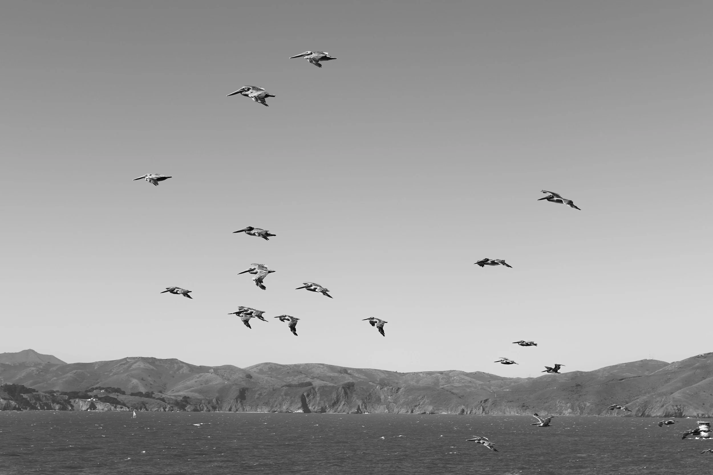 L1000040.jpg