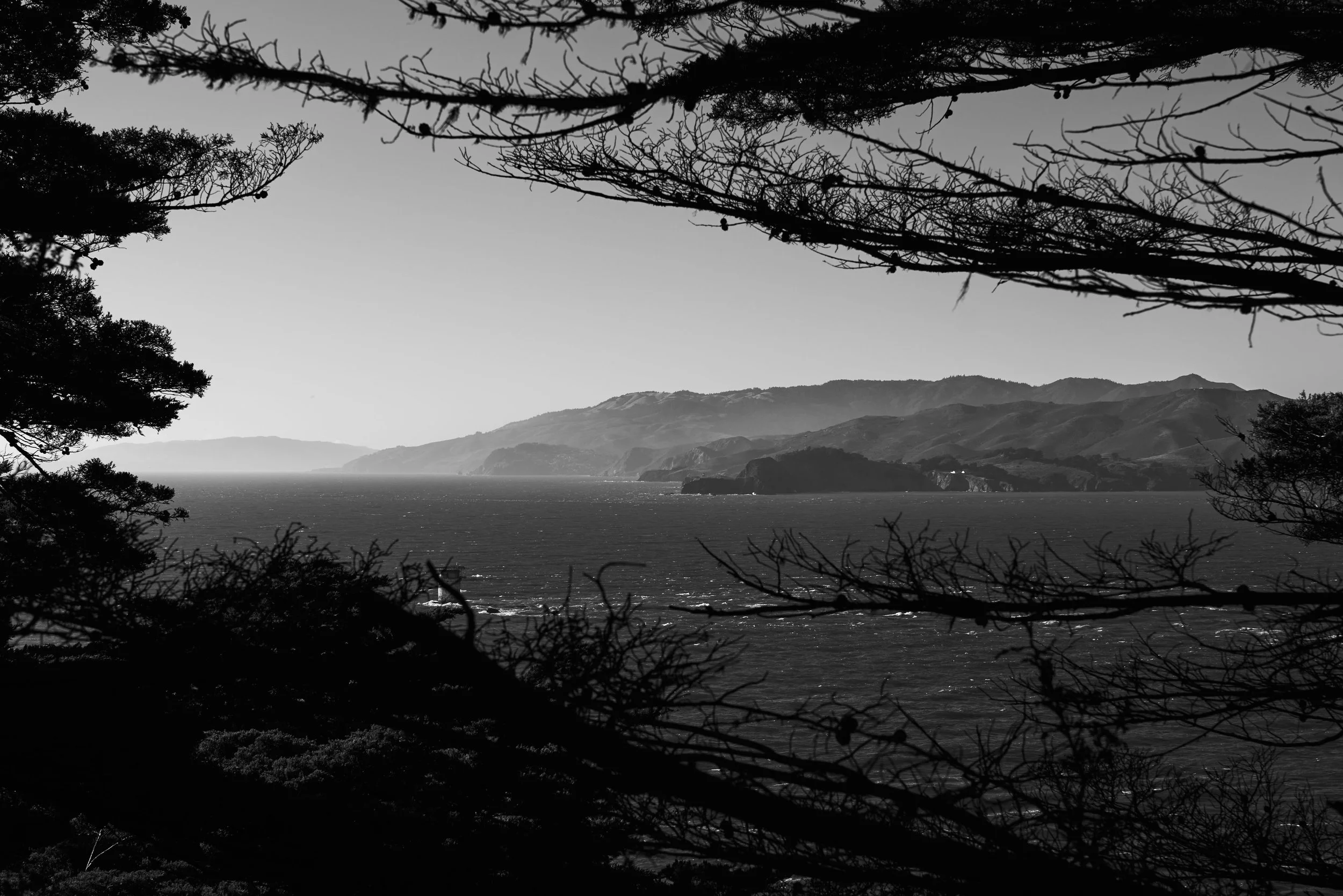 L1000307.jpg