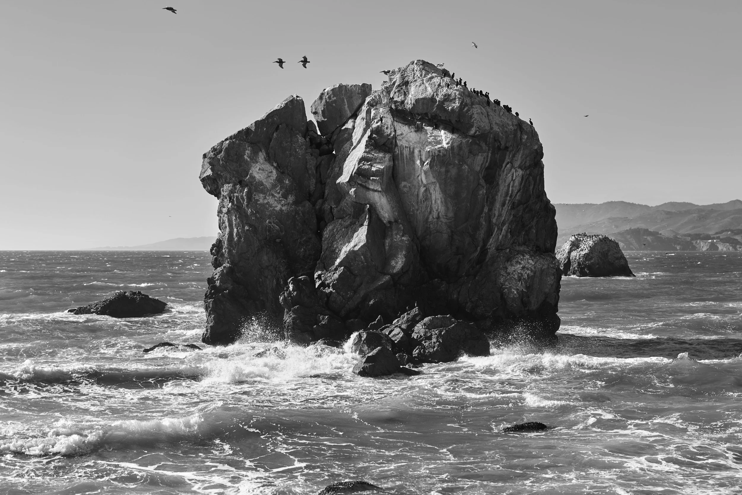 L1000172.jpg