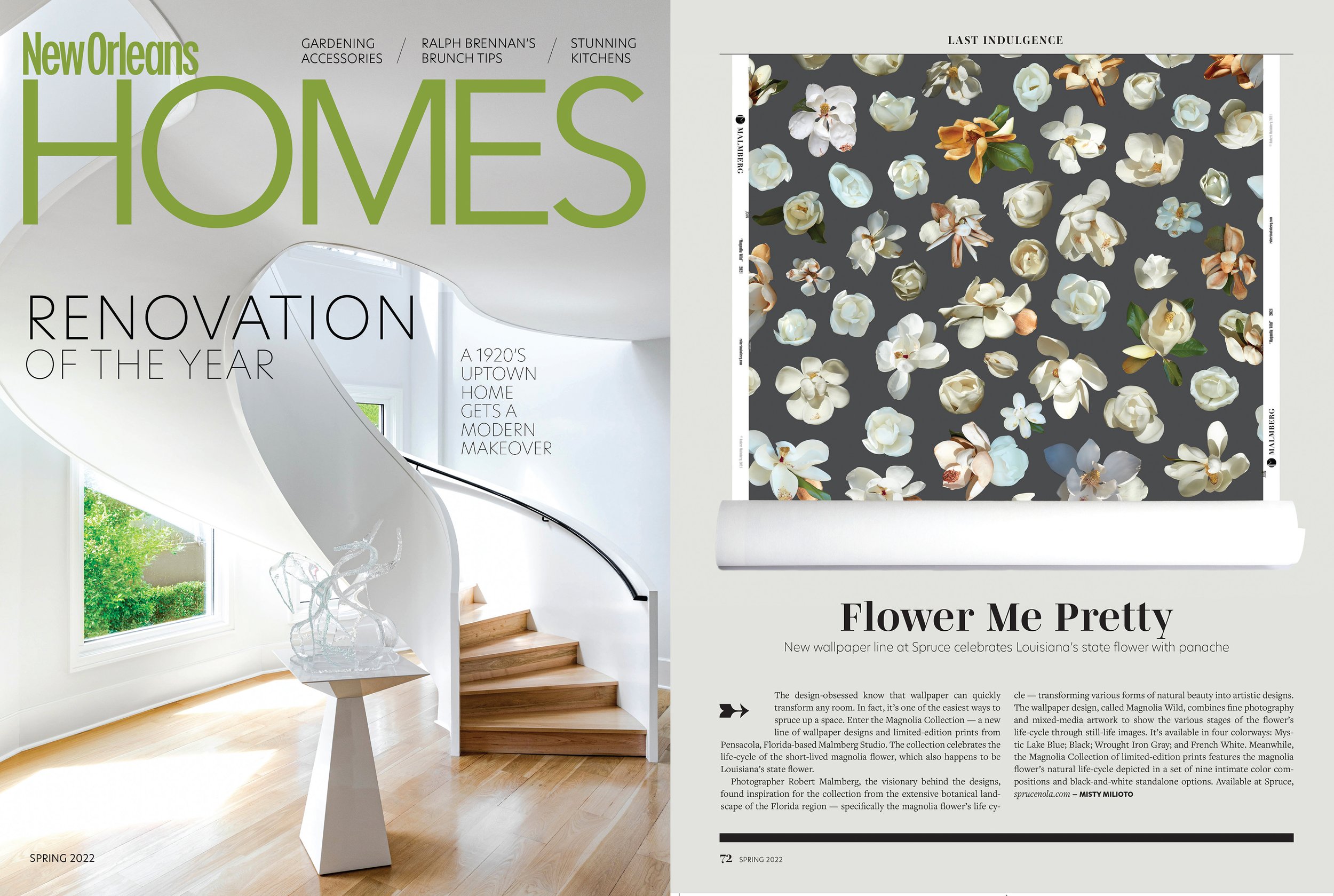 New Orleans Homes Magazine