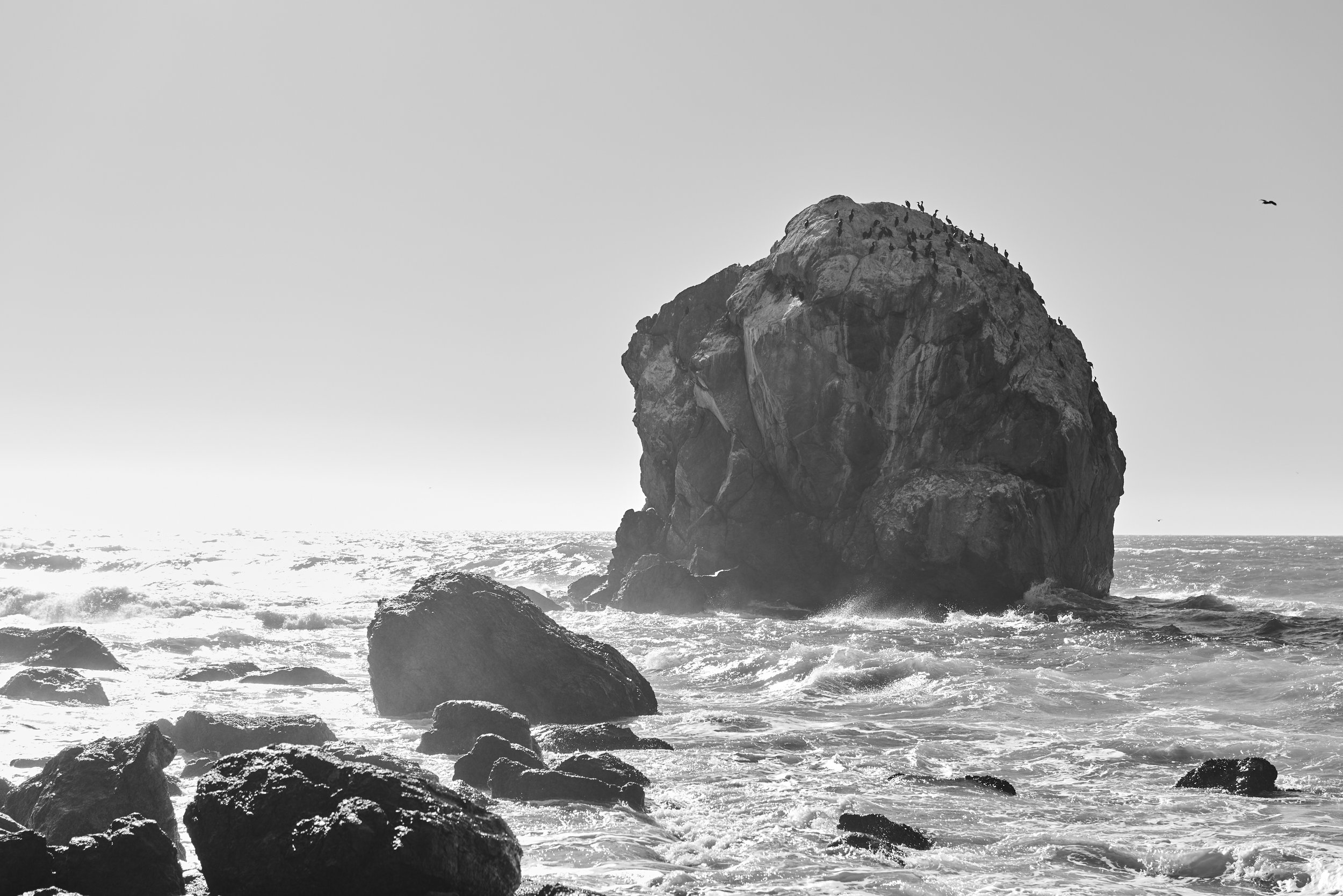 L1000208.jpg