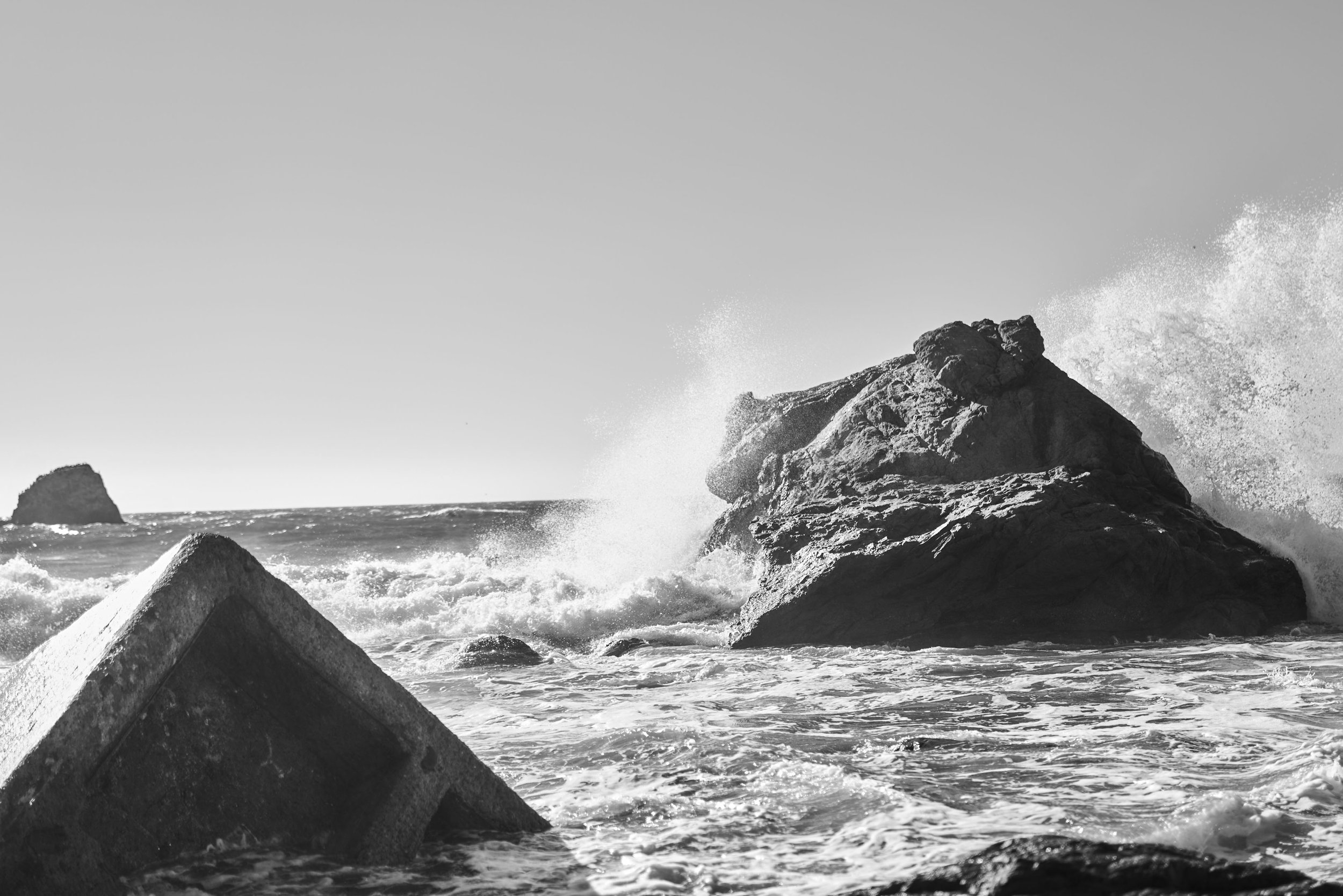 L1000243.jpg