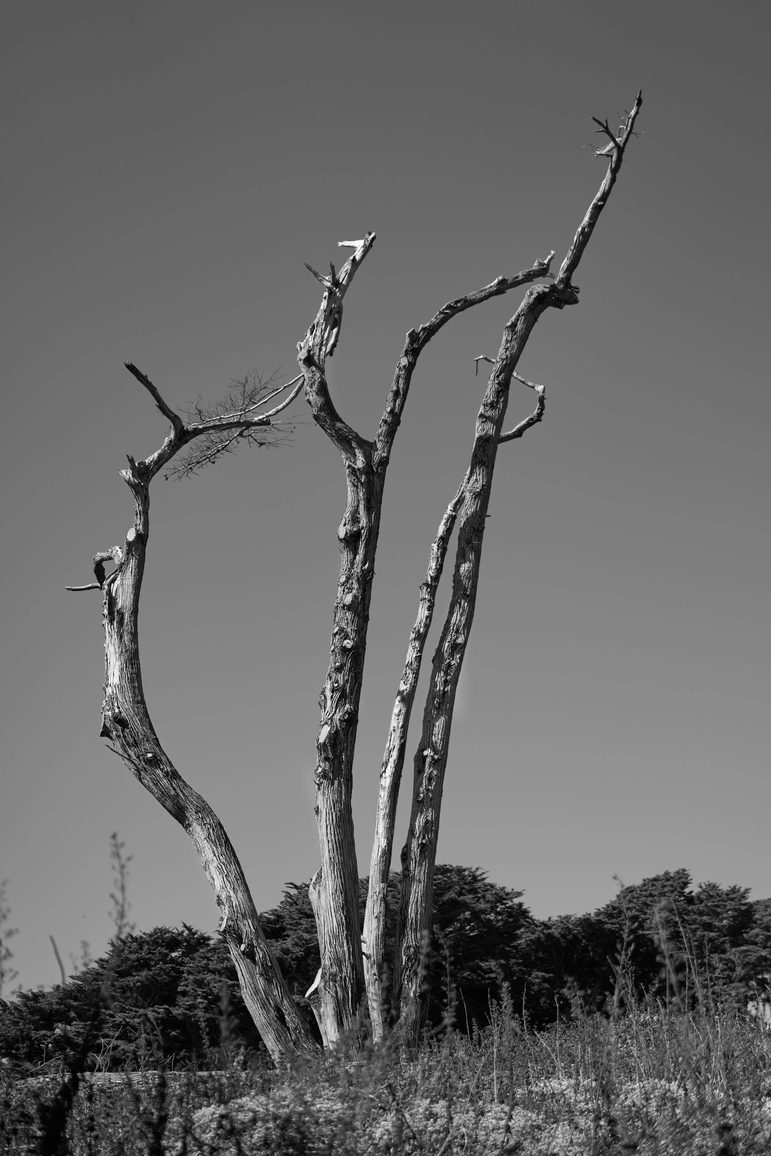 L1000012.jpg