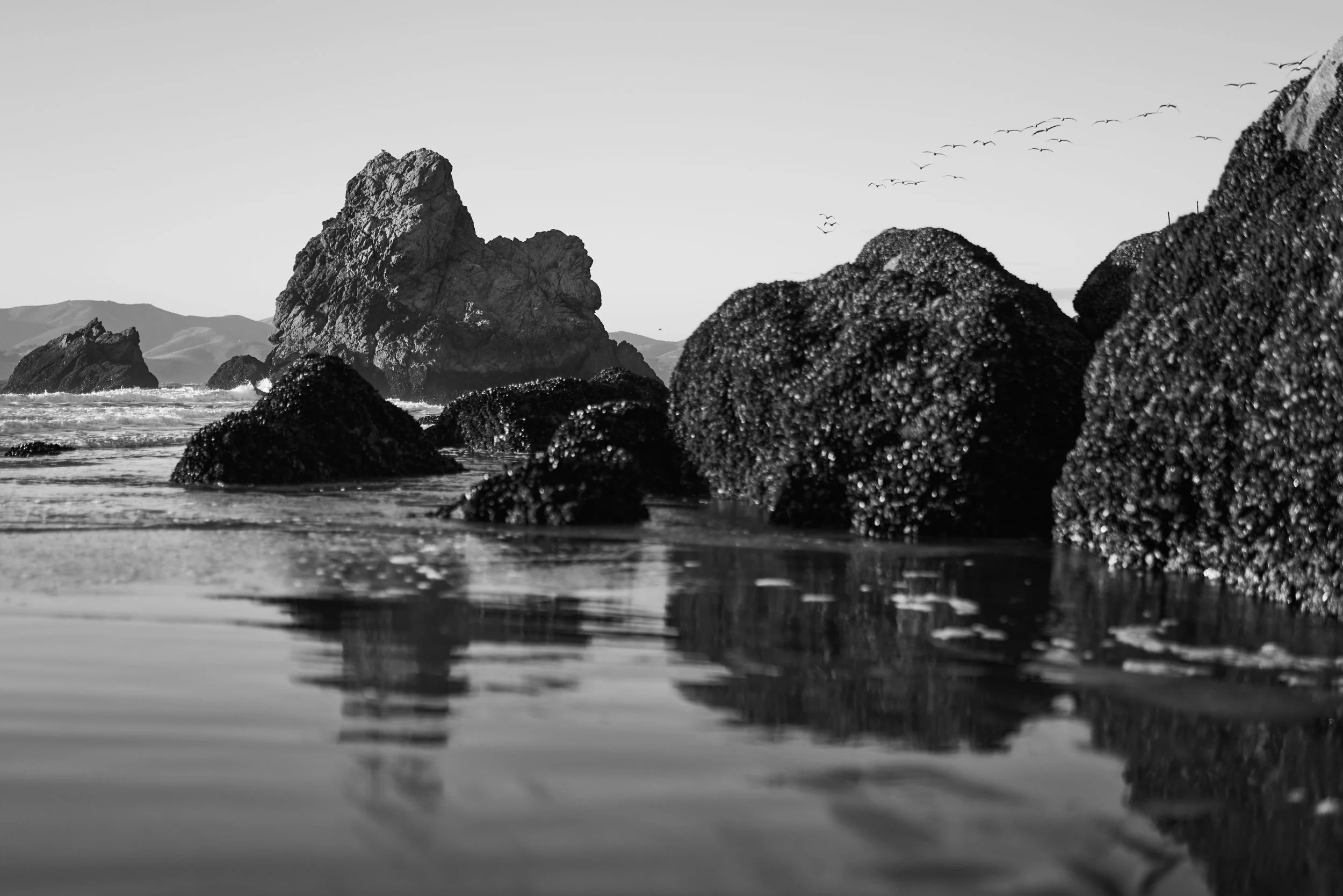 L1000652.jpg