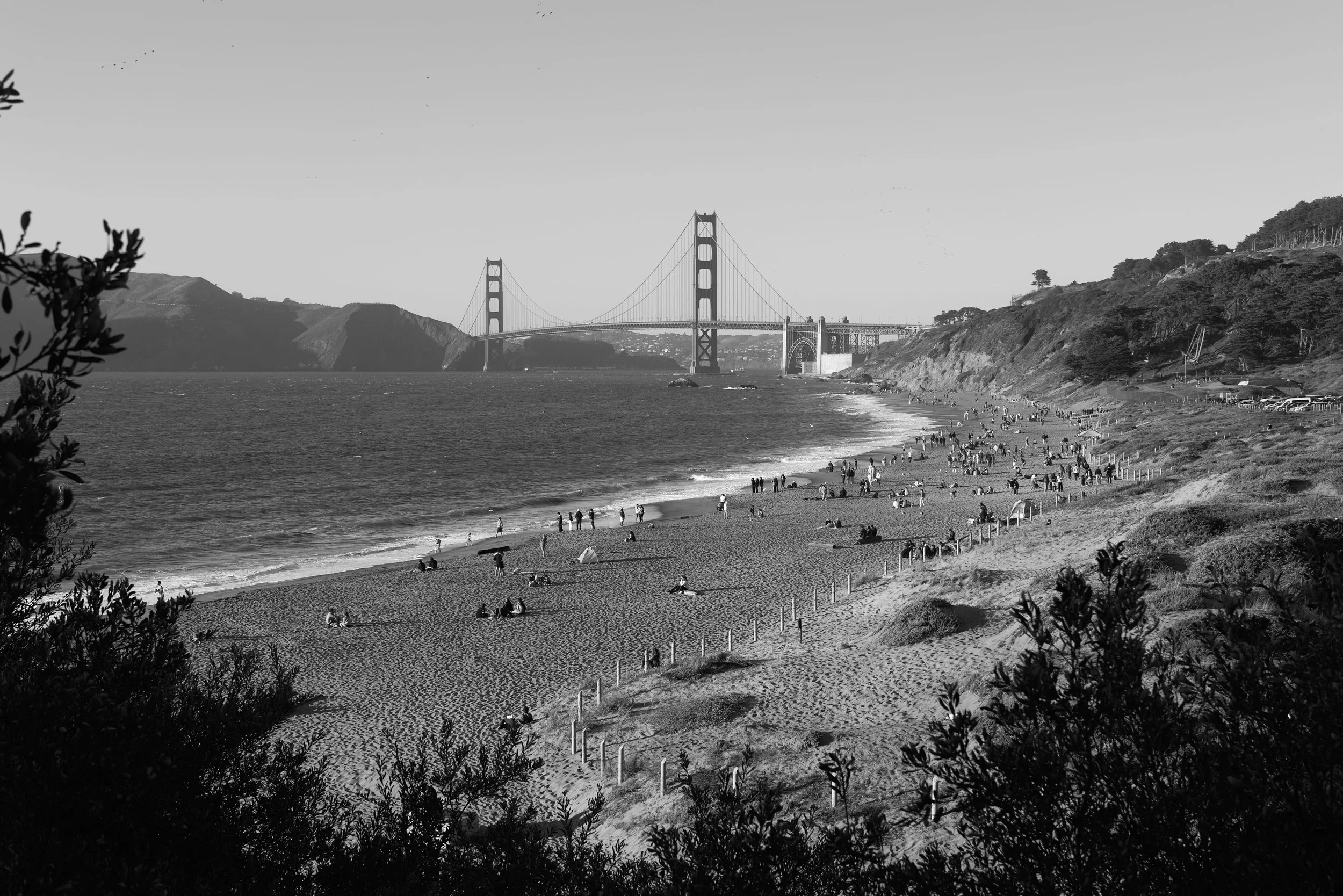 L1000343.jpg