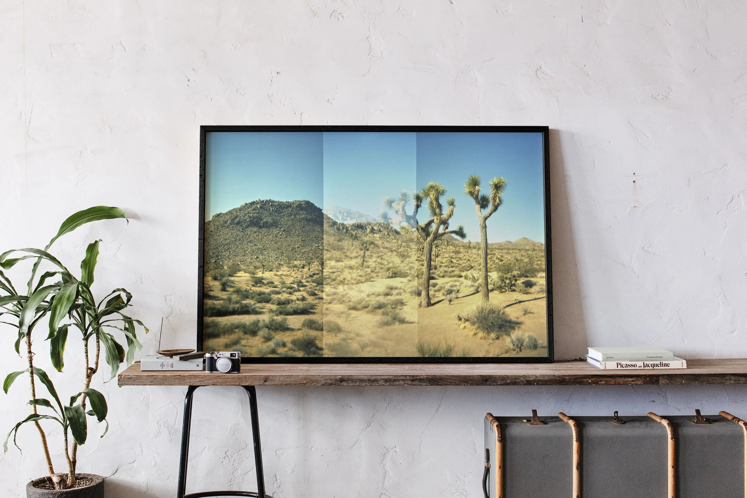 HH095 - Joshua Tree copy.jpg