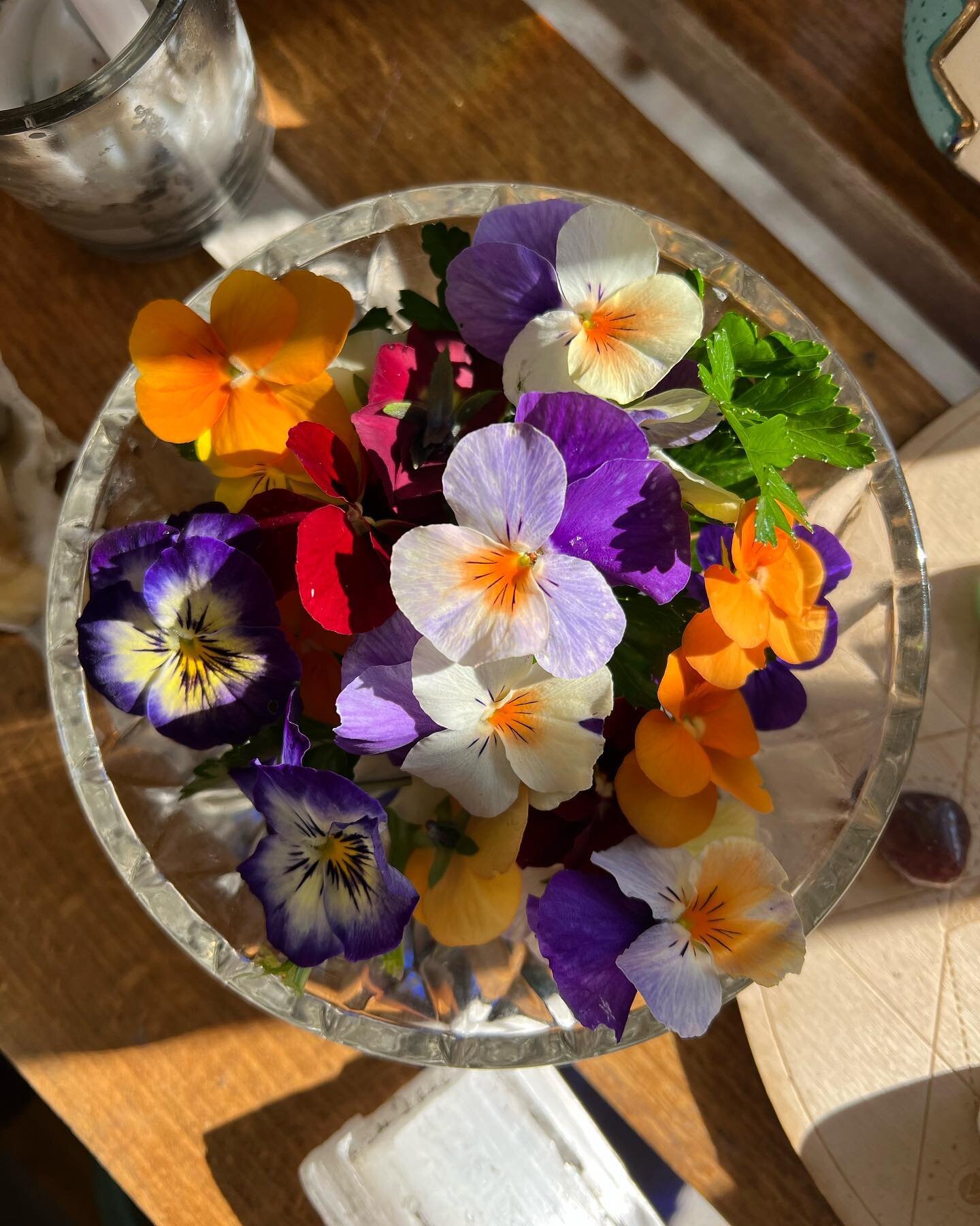 Earth angels hello!!! The apothecary and I have been on winter break; thank you deeply for your patience. If you placed an order, it&rsquo;s going out today with an extra goodie since you have all been so incredibly kind as I work out how to sustaina