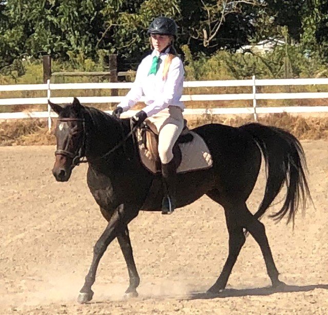 4-H equine groupp, 4-H youth, equine testing, riding test, riding pattern,  riding in County-wide Equine Skills Test