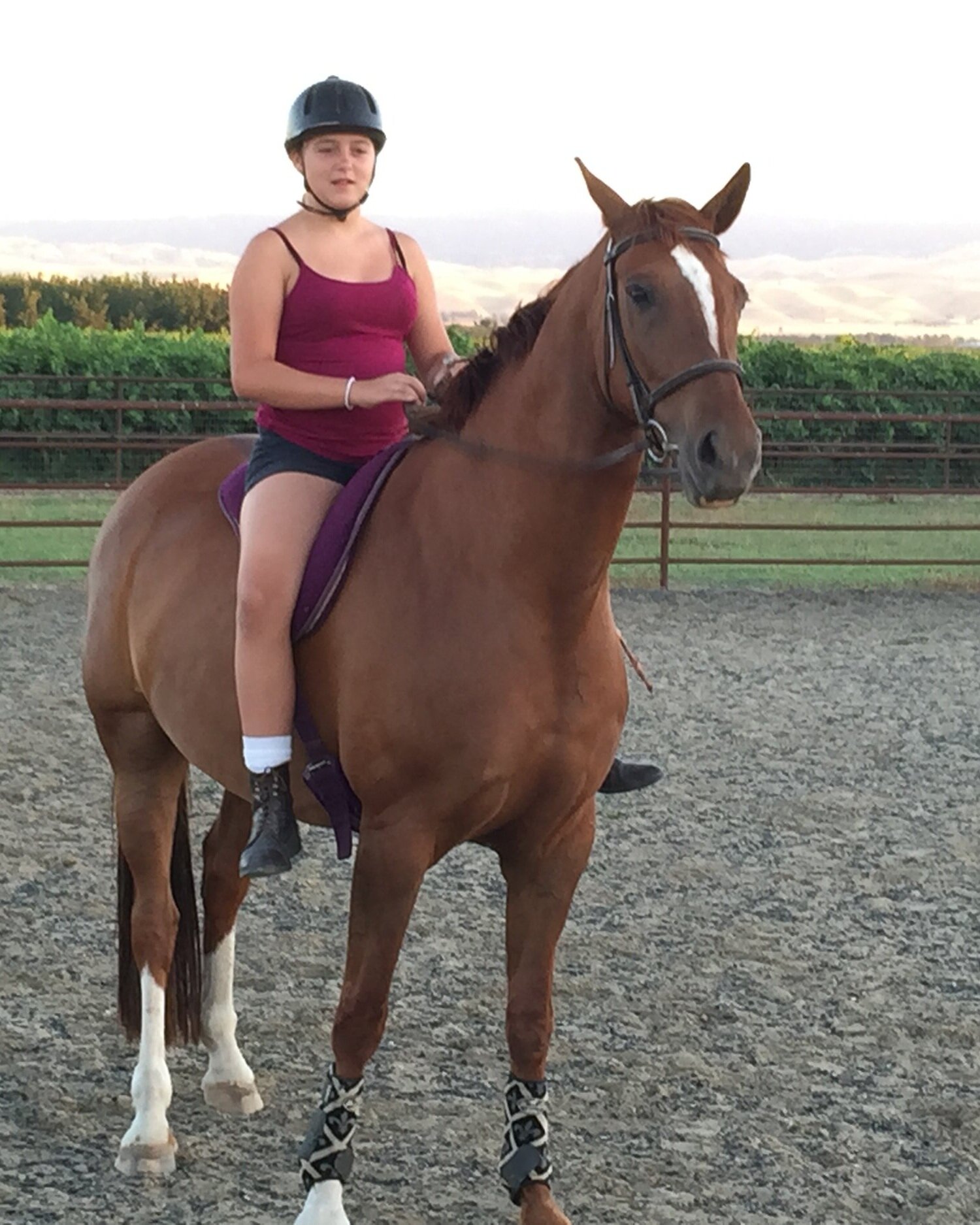 Phina riding her warmblood, Davanzo, in a bareback pad