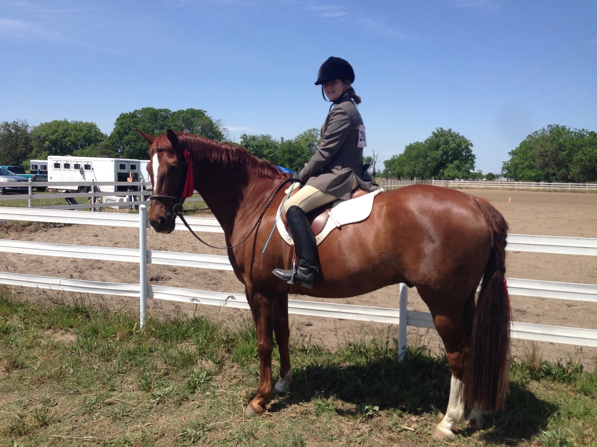 4-H Regional Horse Show English Class
