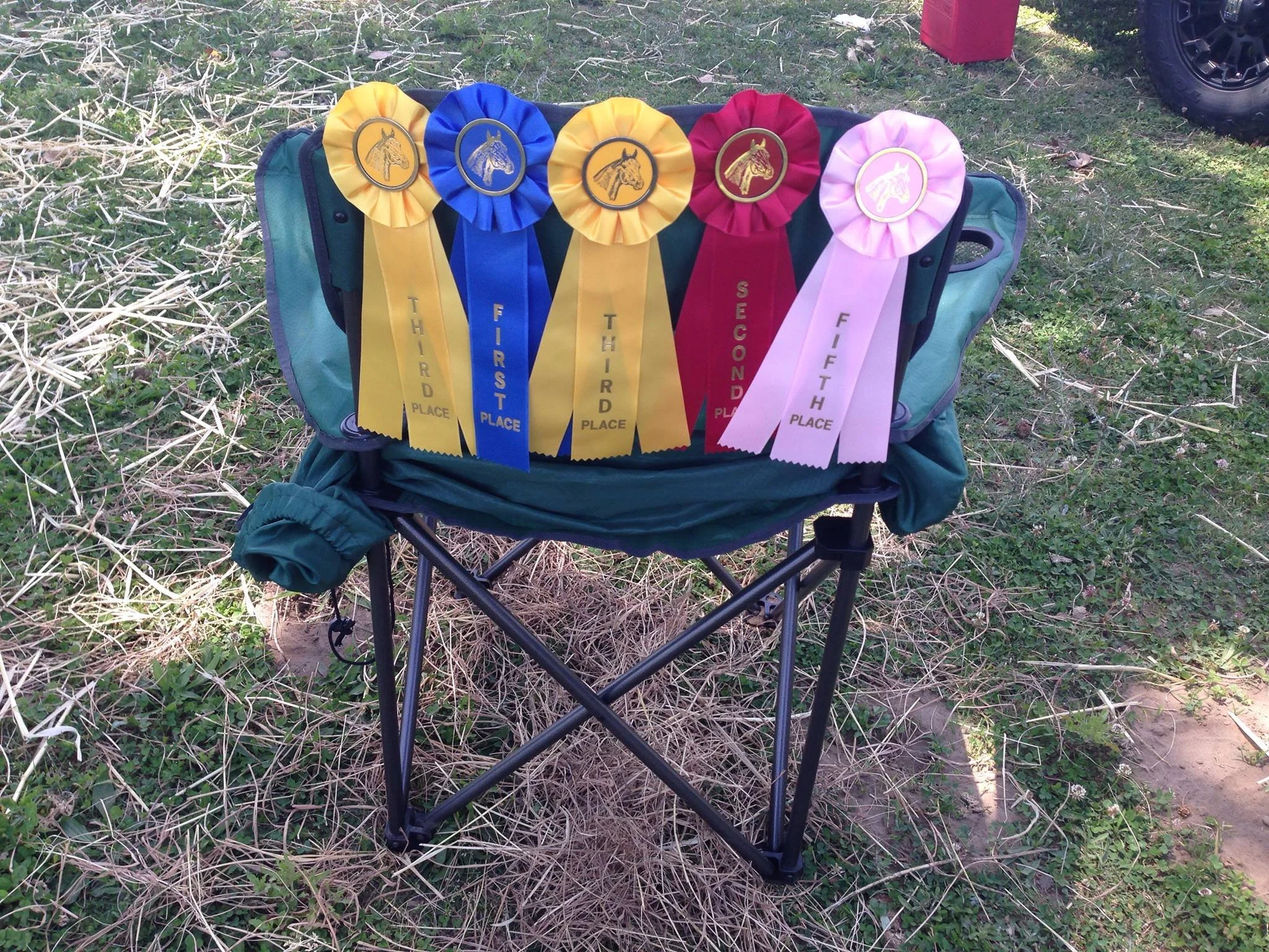 4-H Regional Horse Show Ribbons