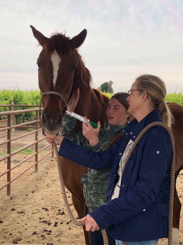 Deworming a Horse