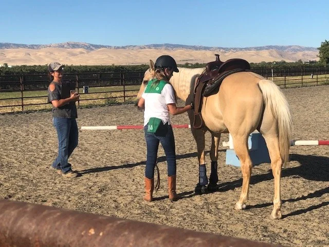 4-H Equine Program Horse Achievement Testing