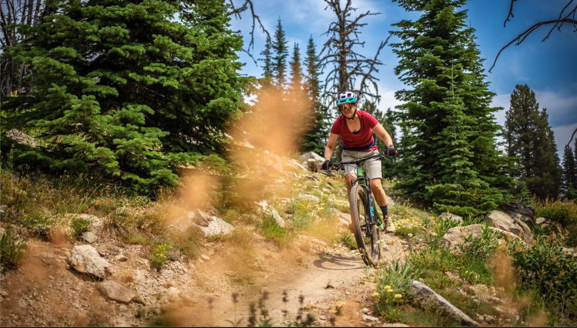 Screenshot 2026-01-26 at 12.20.14 PM.png