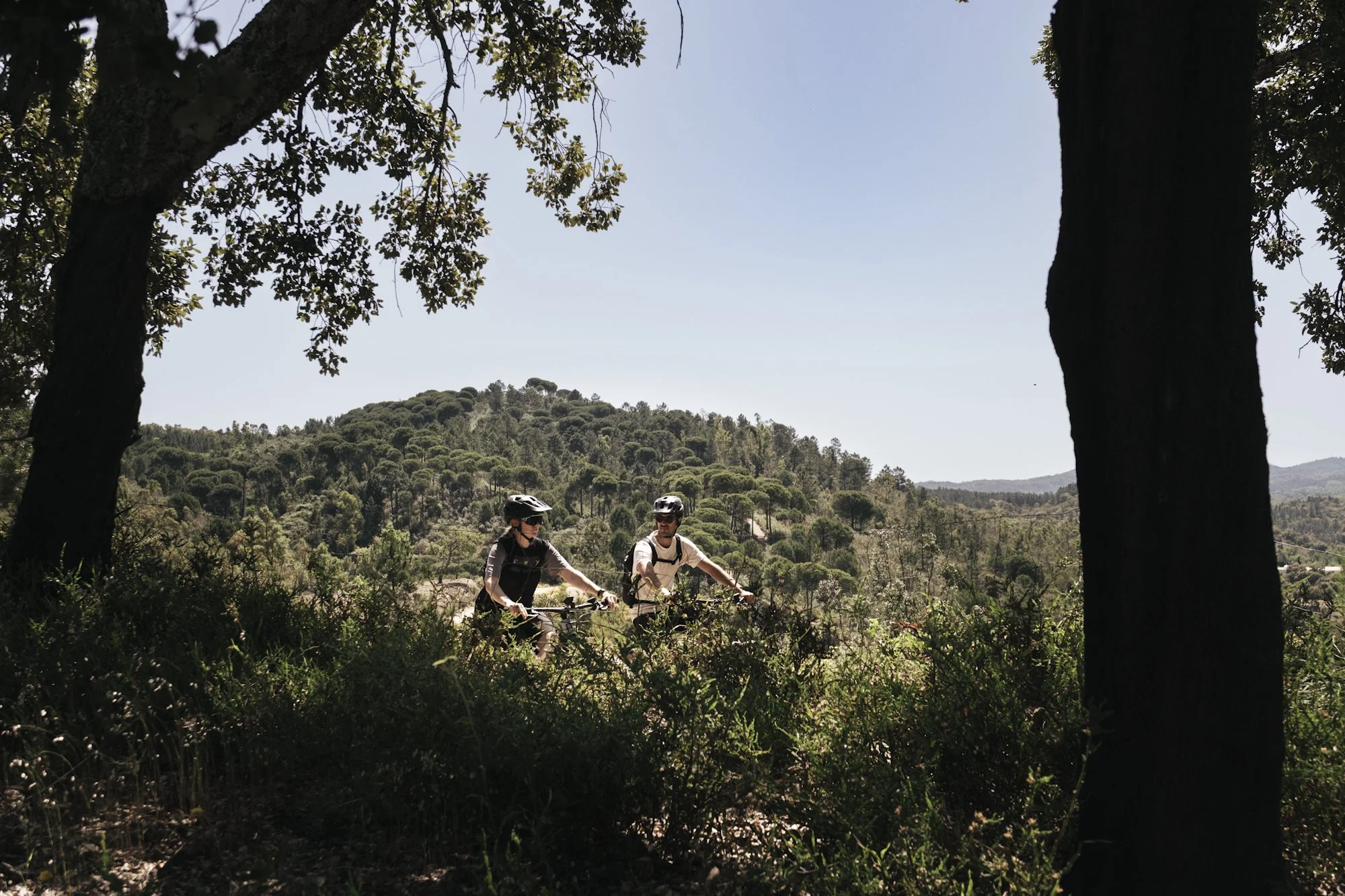 TomásMontes_ Finca_el_Moro-026.jpg