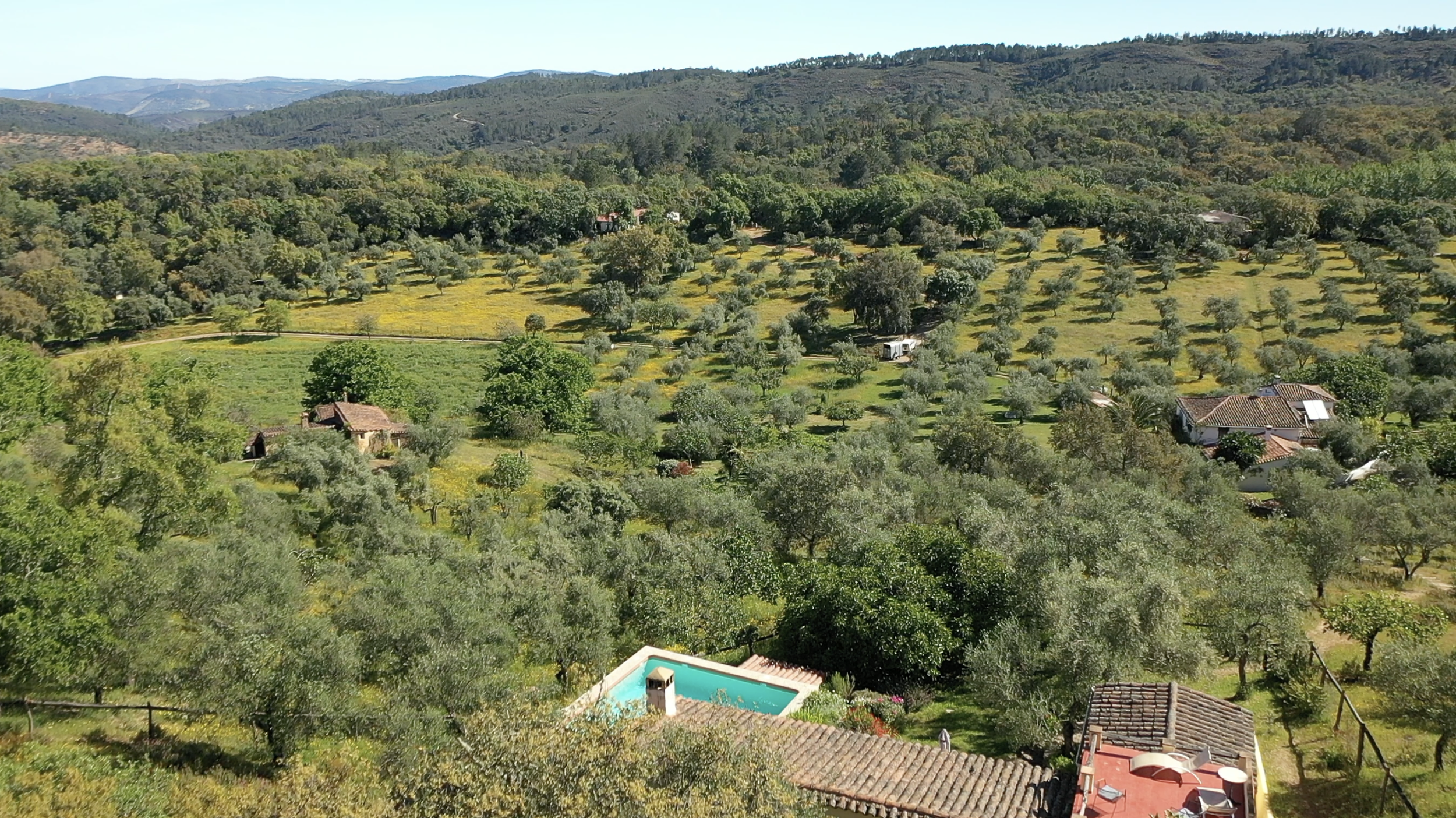 Screenshot hill 2.png