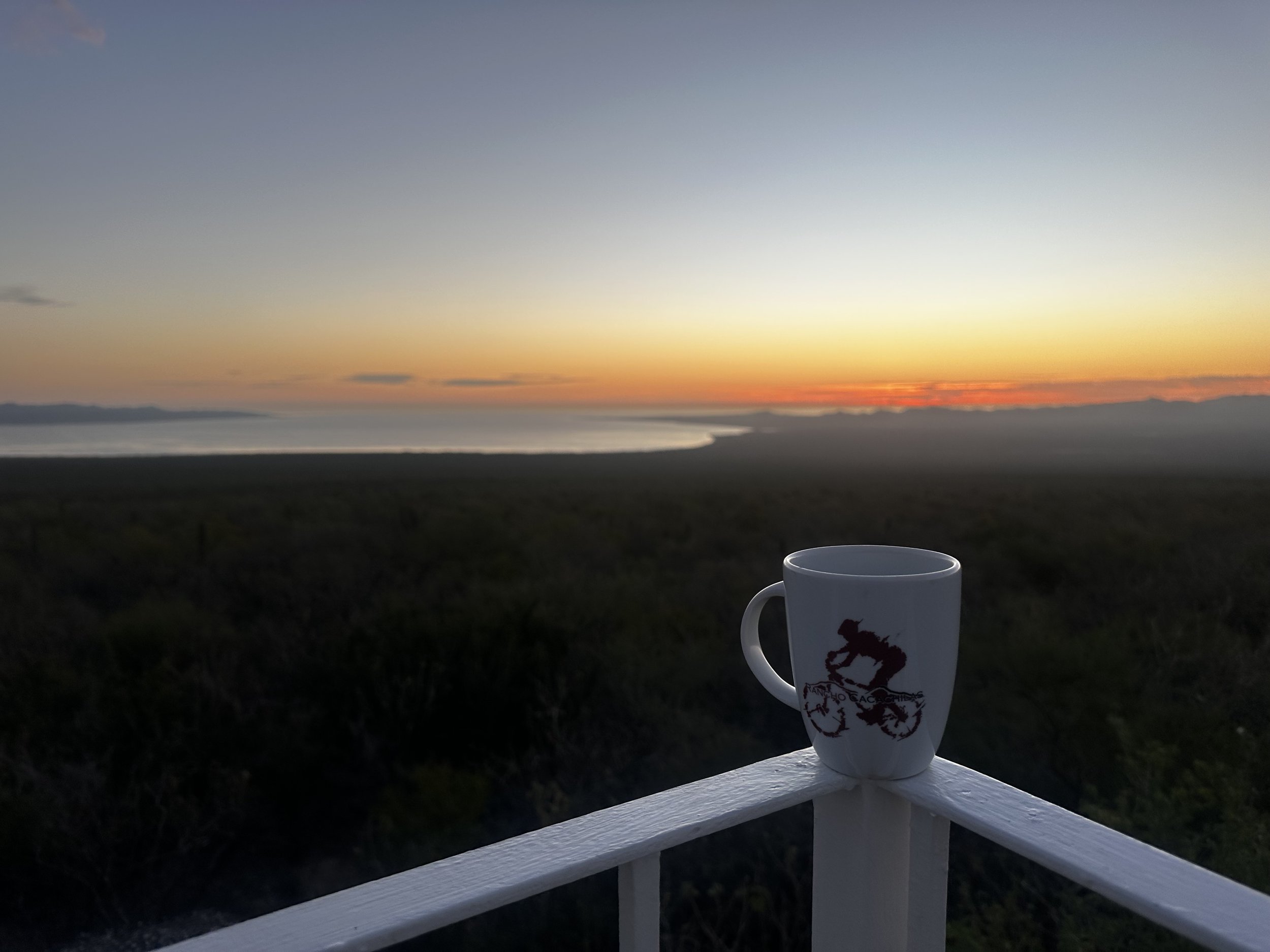 Mug SUnrise.jpeg