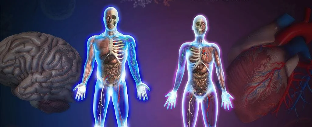 14 - Anatomy & Physiology 101.jpg