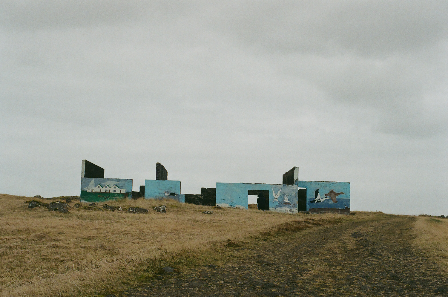 Iceland4web.png