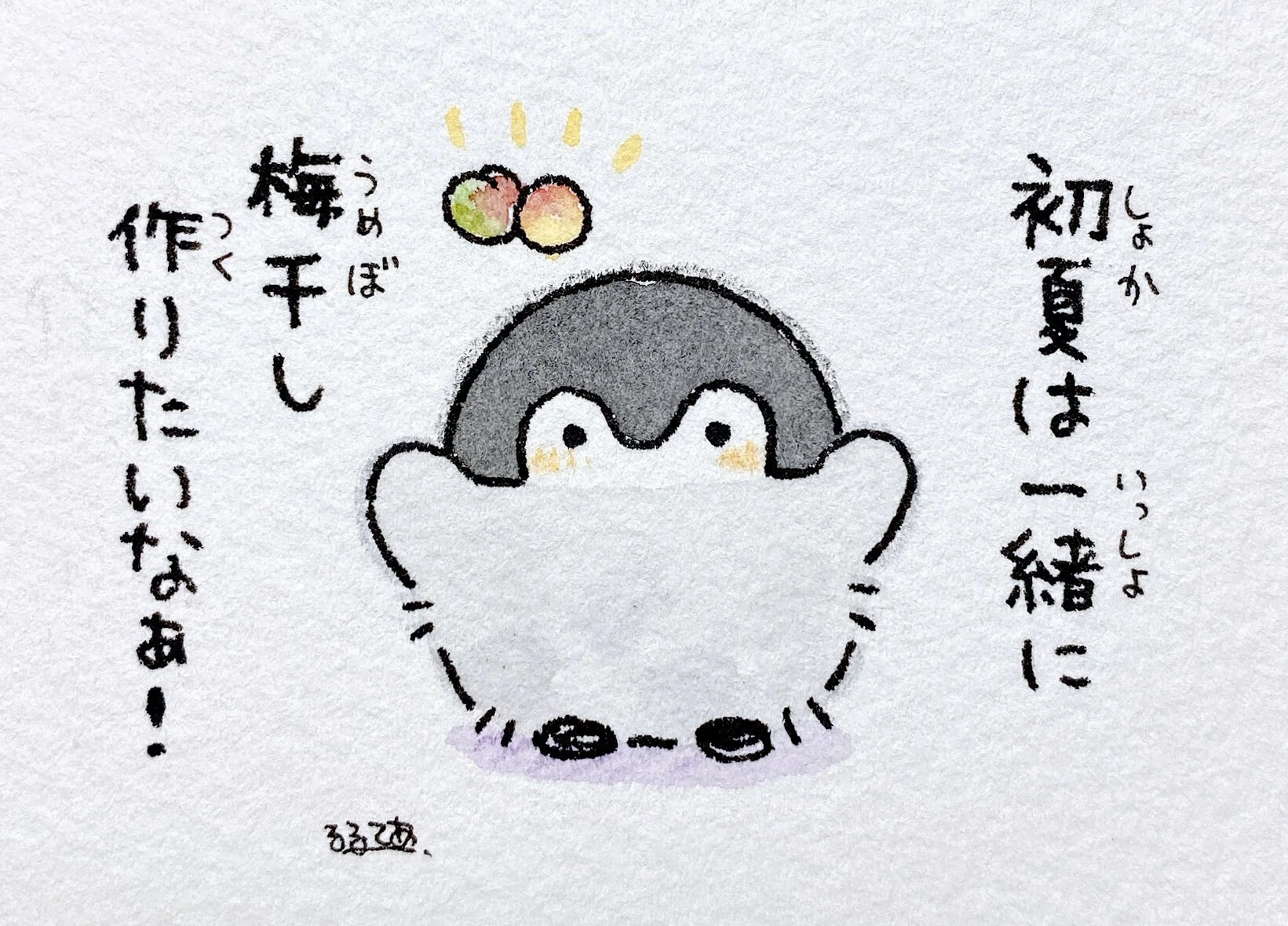  In early summer, I want to make pickled plums (umeboshi) together! 