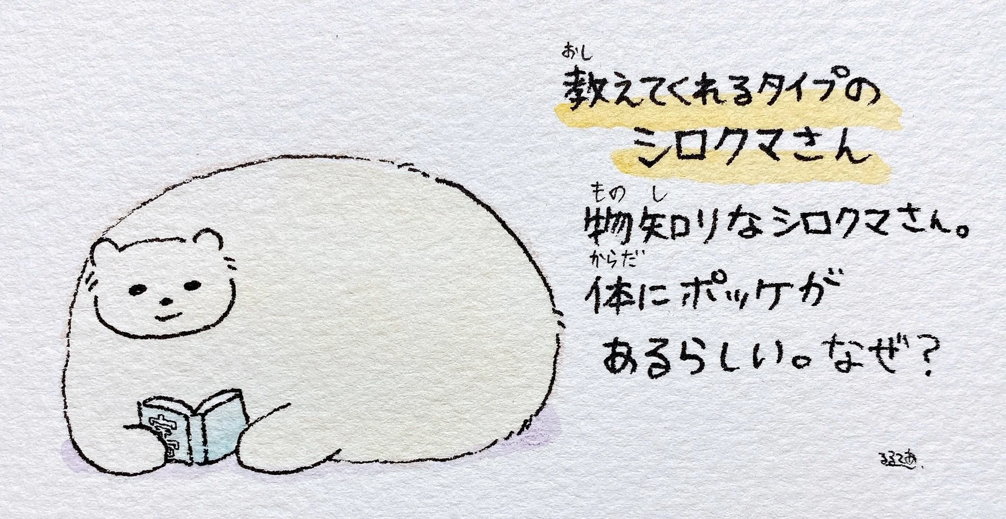 Polar Bear-san
