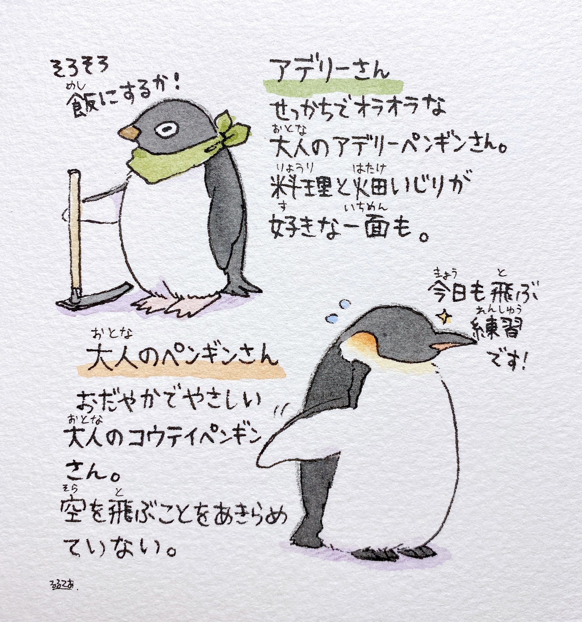 Adelie-san &amp; Adult Penguin-san