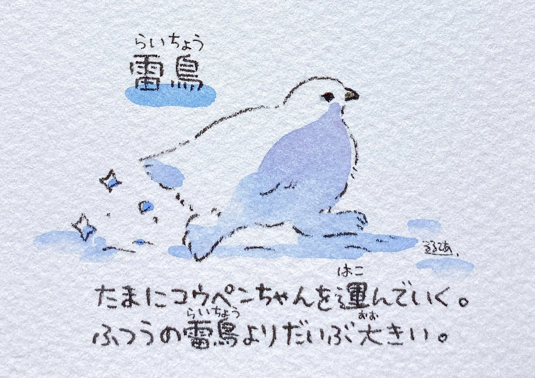 Ptarmigan
