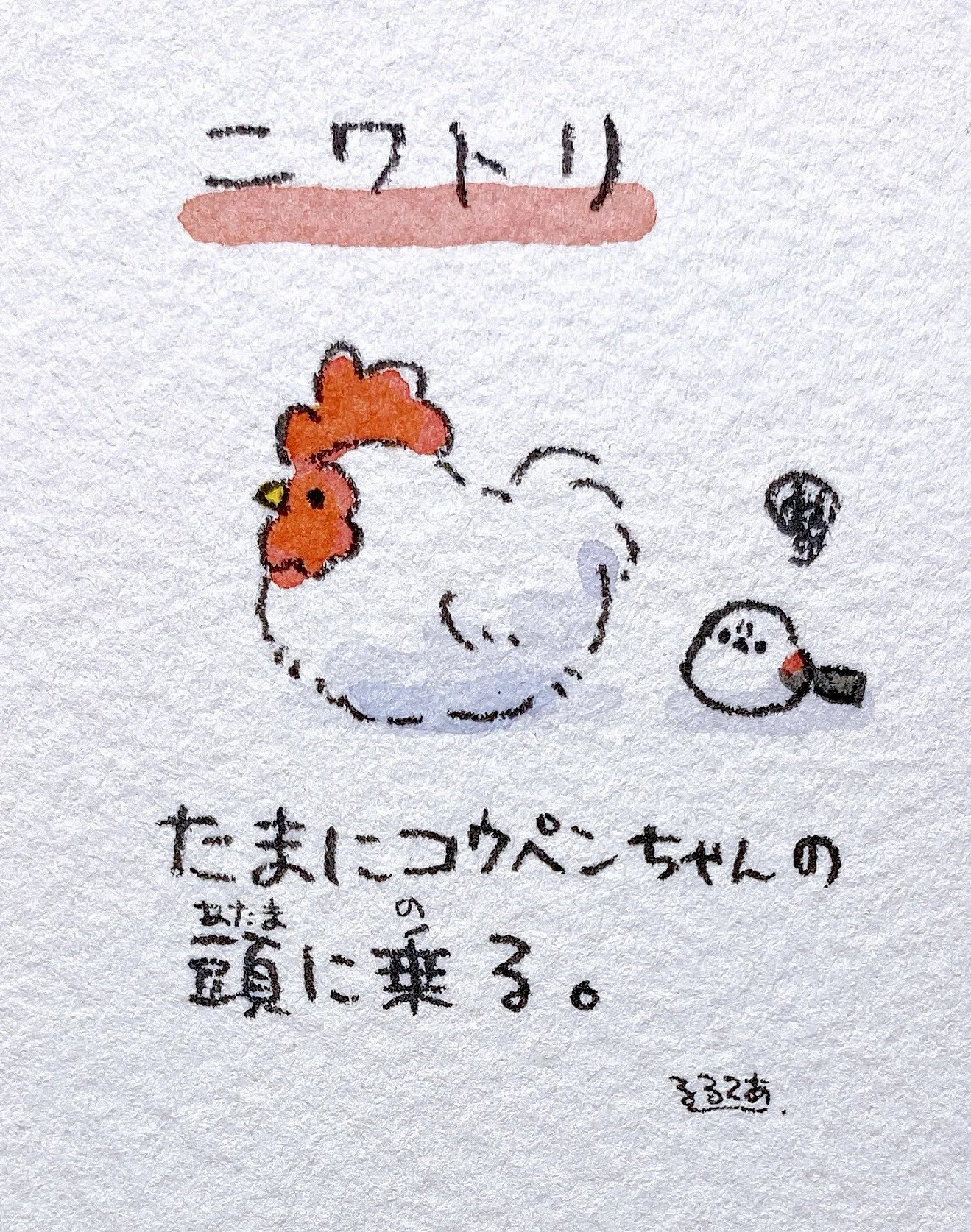 Chicken