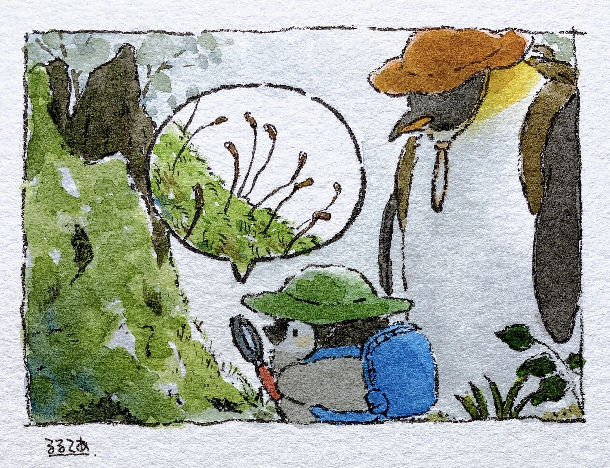 C: Observe, Moss!