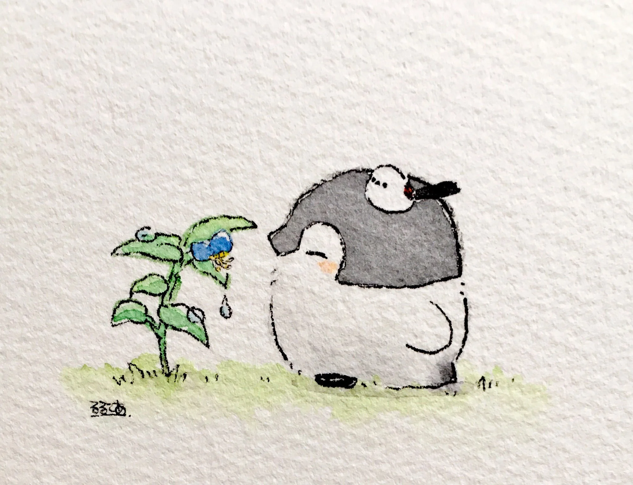 #15 White Dew" (hakuro), approx. September 8th